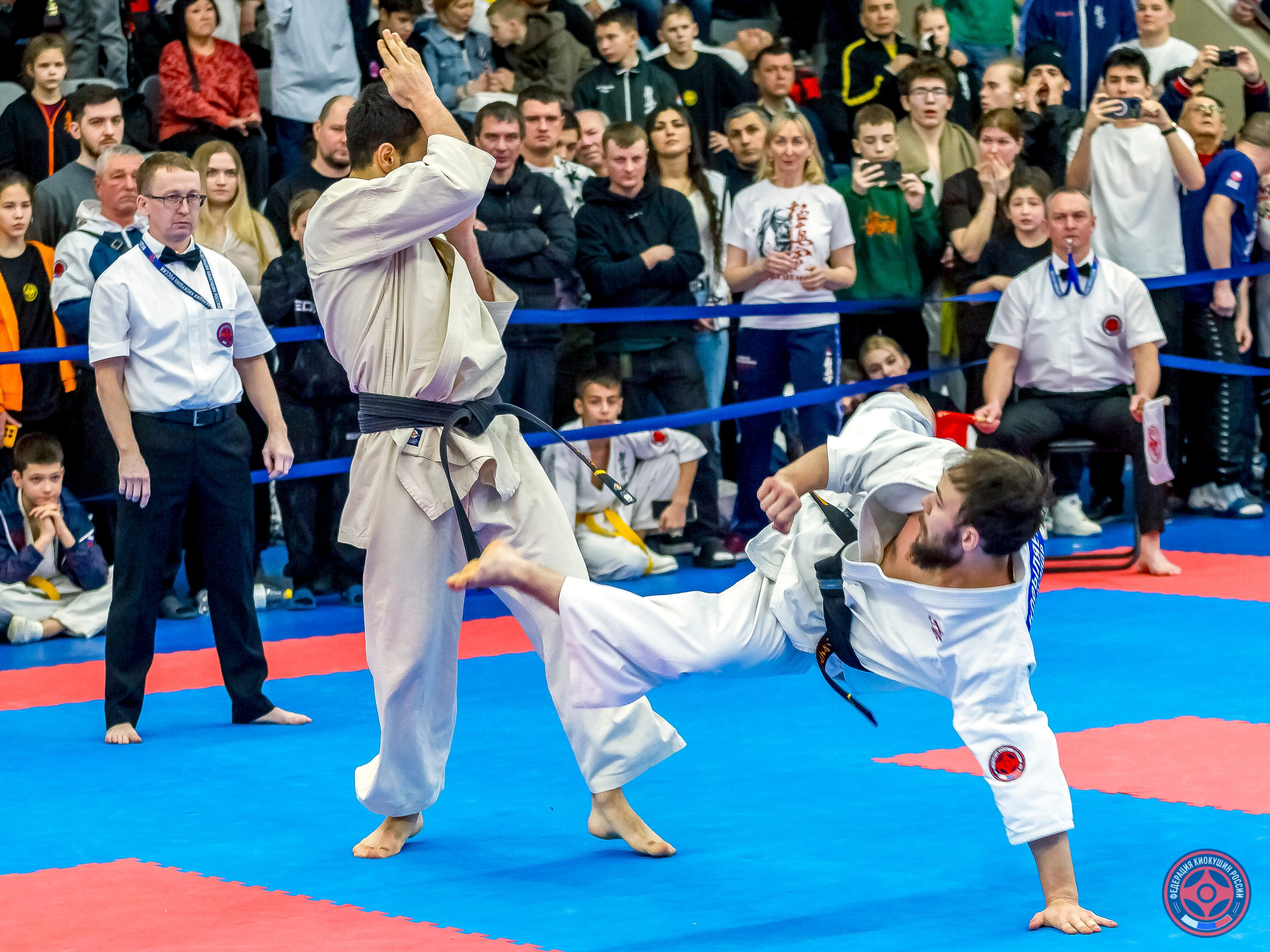 Международный турнир по киокушин «Открытый кубок Seiken». Репортажная съемка в Москве и области. Анималистика