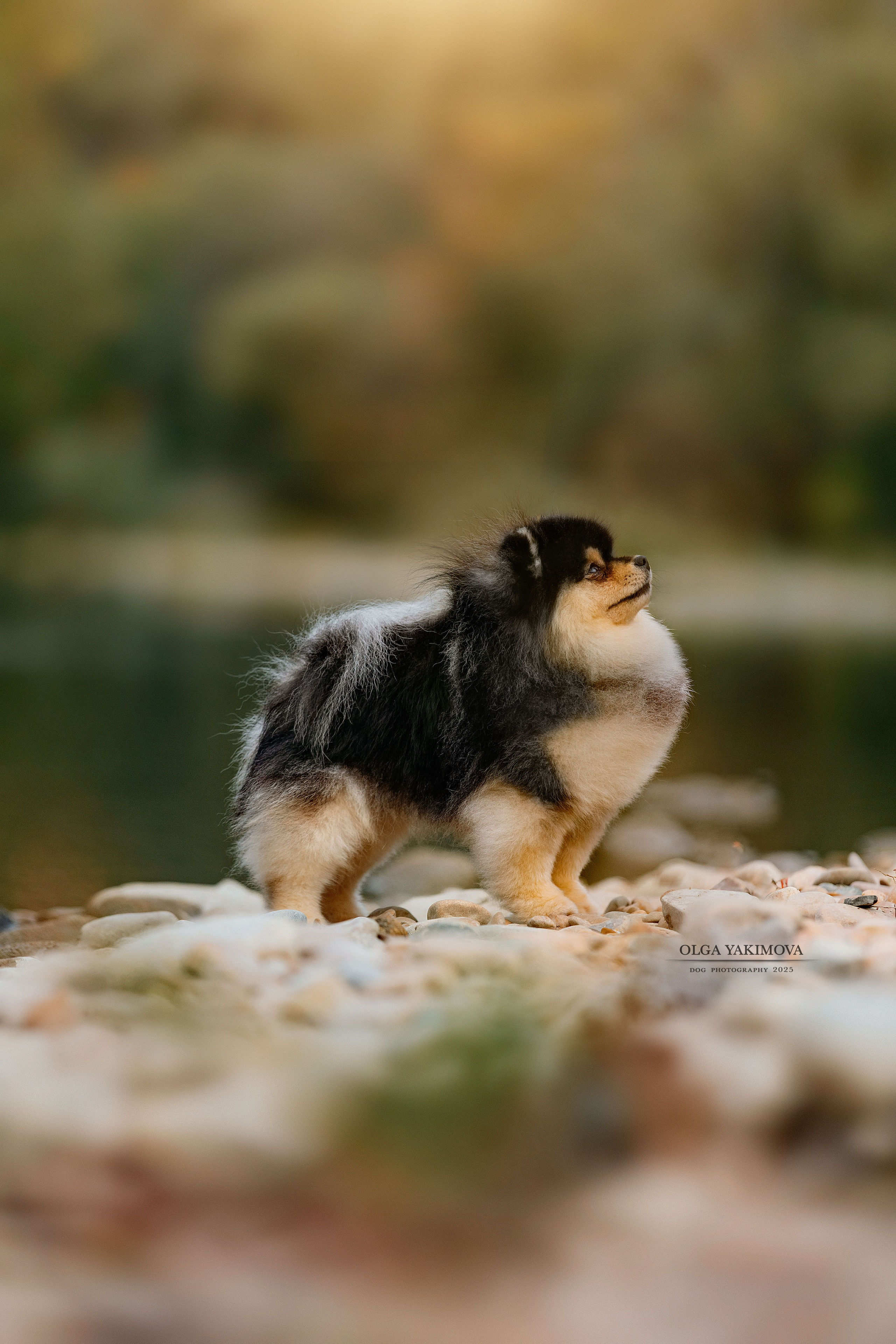 Экстерьер. Фотограф