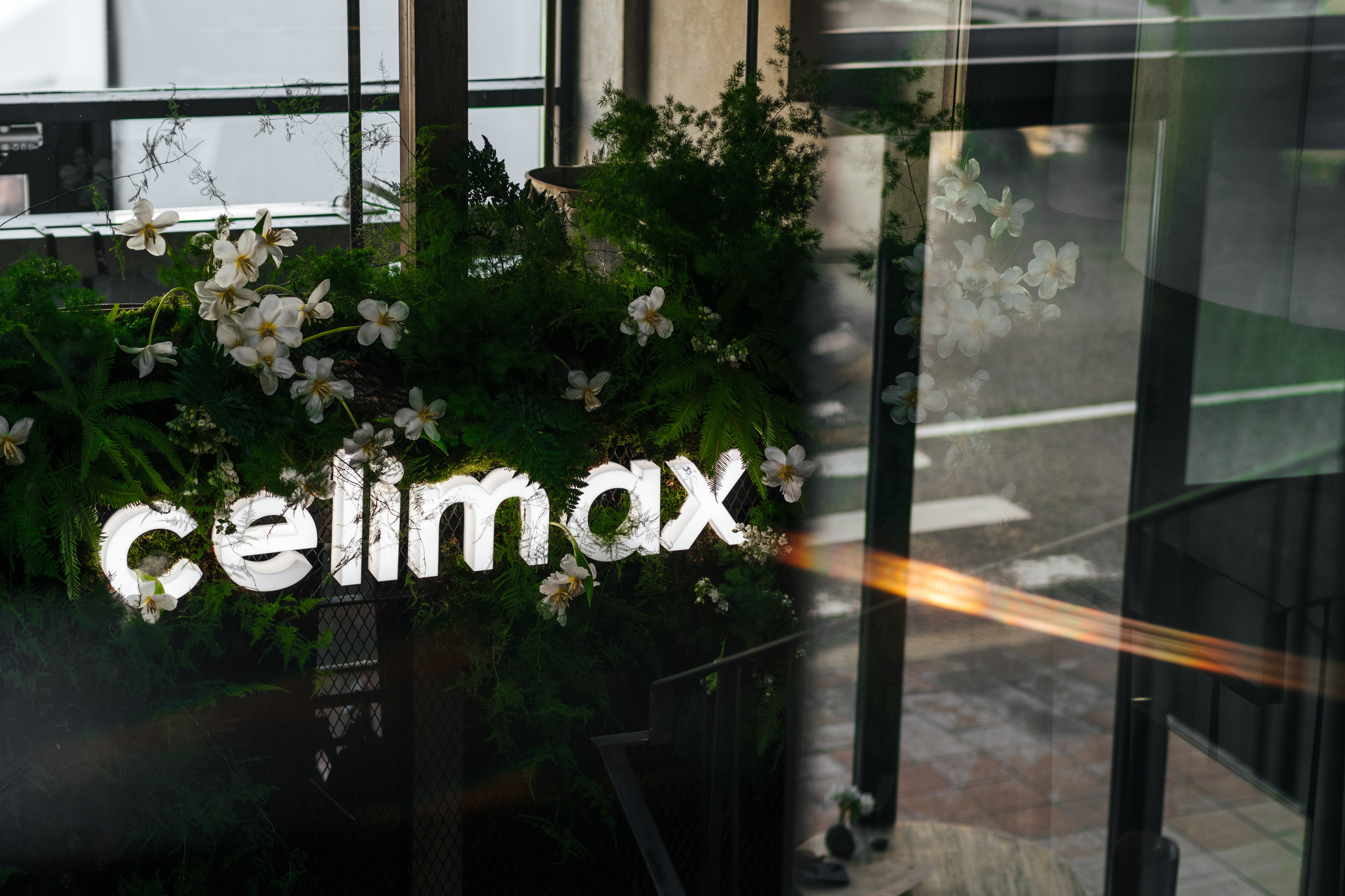 She x Celimax. Контент фотограф Виталий Морозов г. Москва