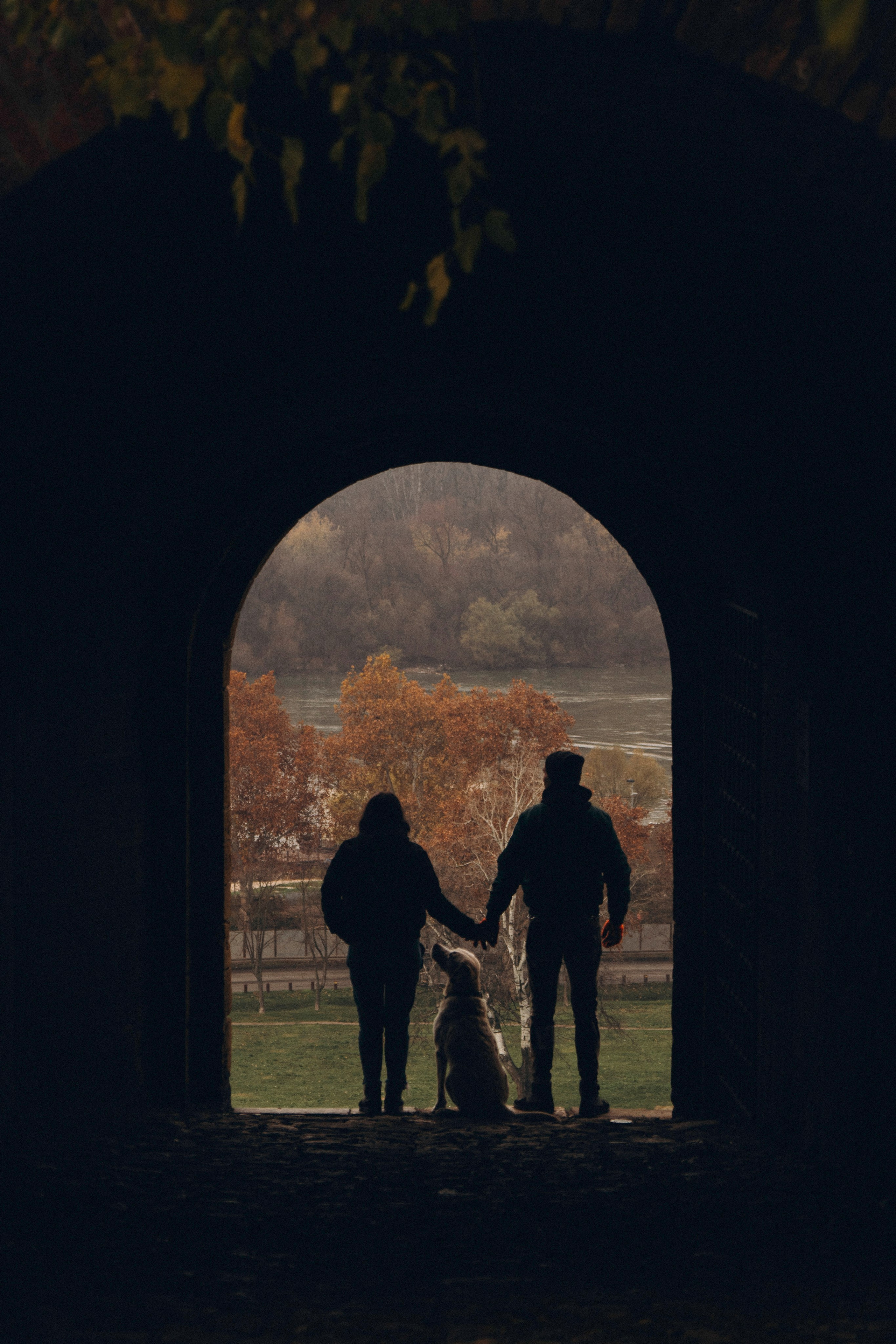 Вати, Лена и Леван. Фотограф анималист в Спб недорого Олеся Майорова