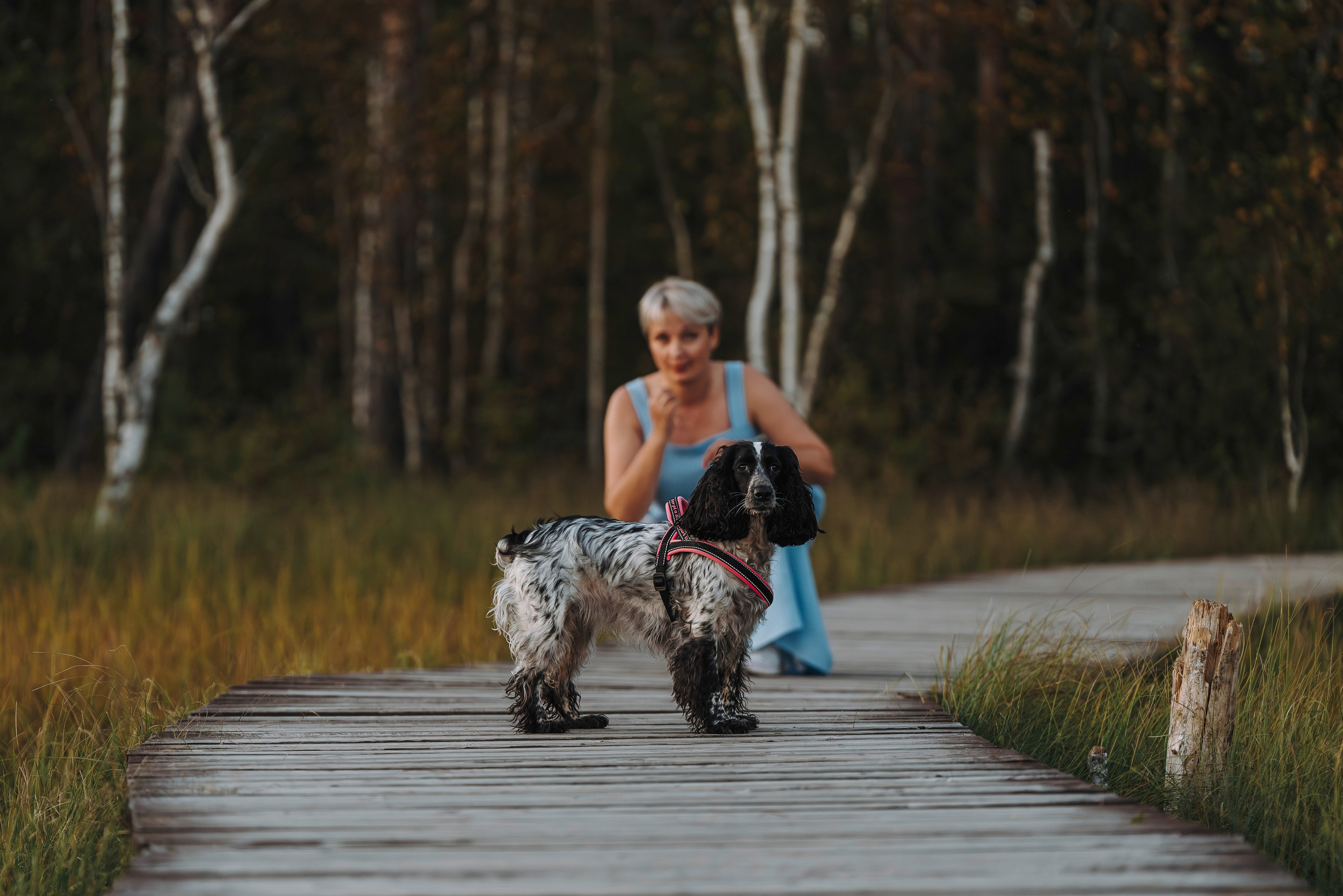 Аня и Тея. Фотограф анималист в Спб недорого Олеся Майорова