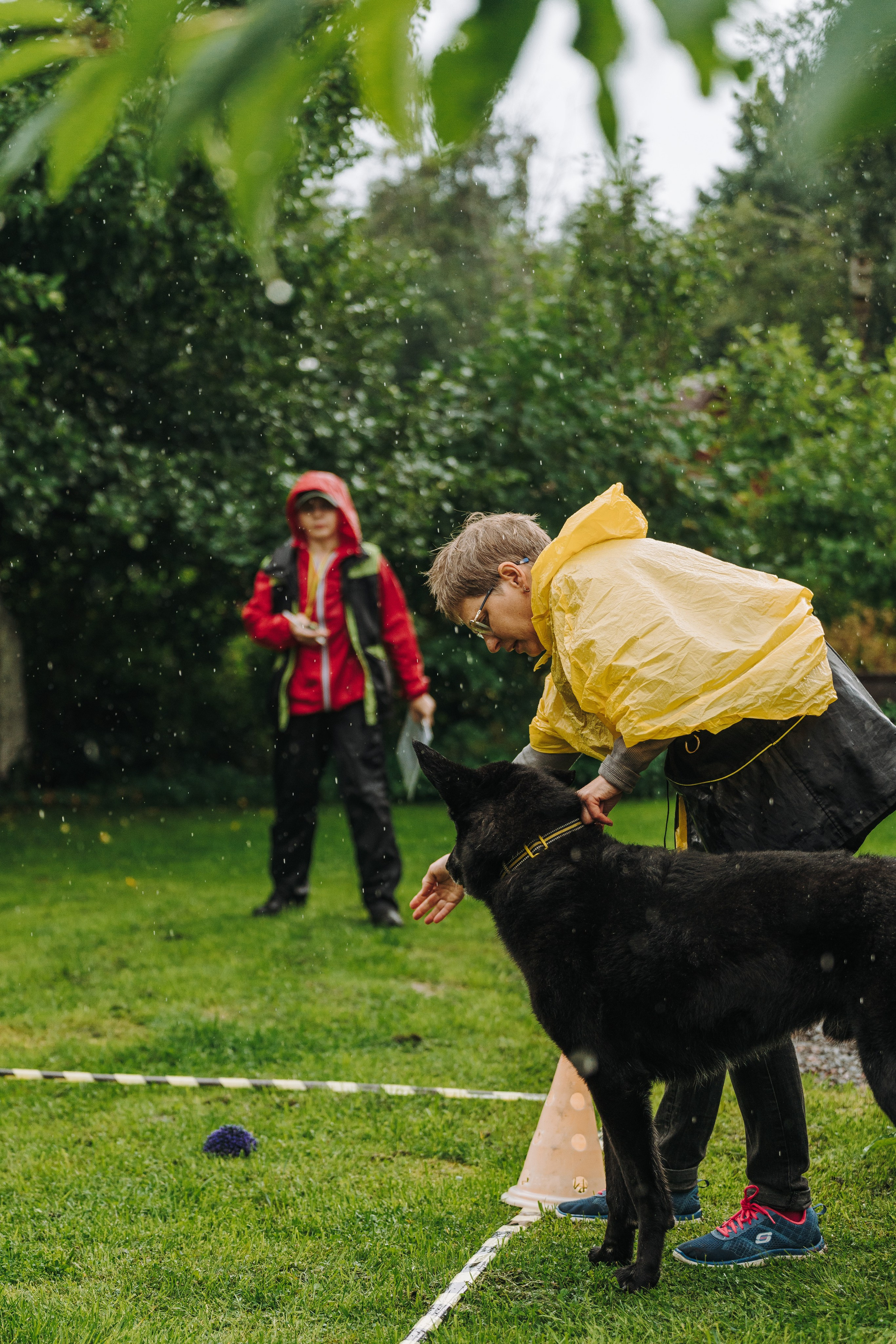 Соревнования по ноузворку в Новожилово. Фотограф анималист в Спб недорого Олеся Майорова