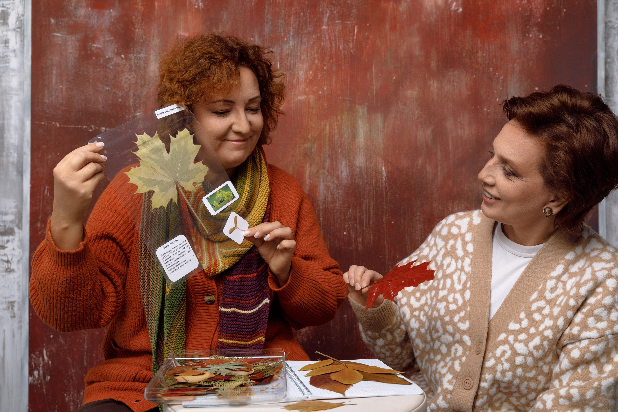 Это не новогодняя фотосессия. Это реклама курсов. Фотограф в Москве Слуцкая Наталья, репортаж, портрет, контент