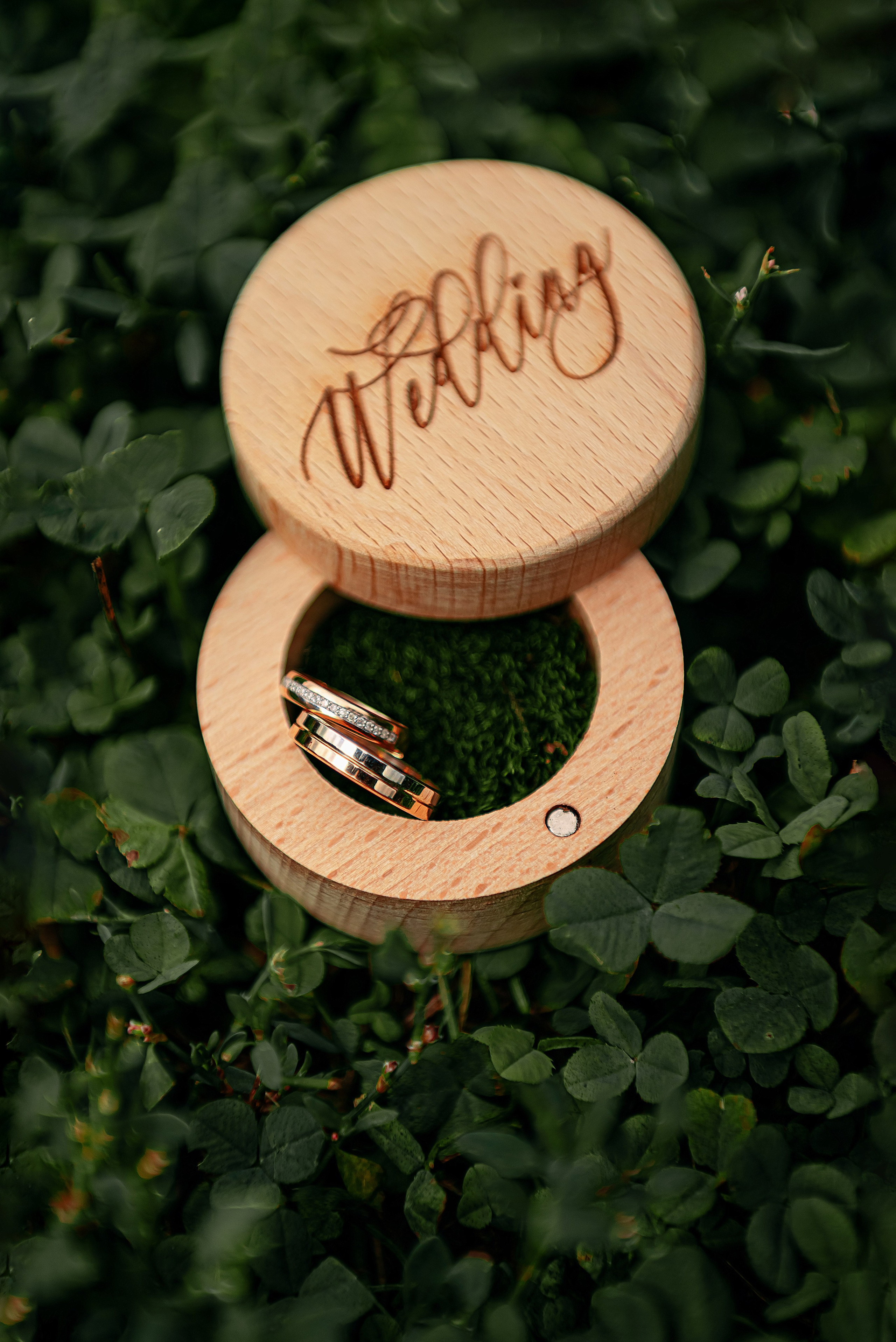 Свадебная фотосессия в Парк-Отель Аквариум г. Кемерово