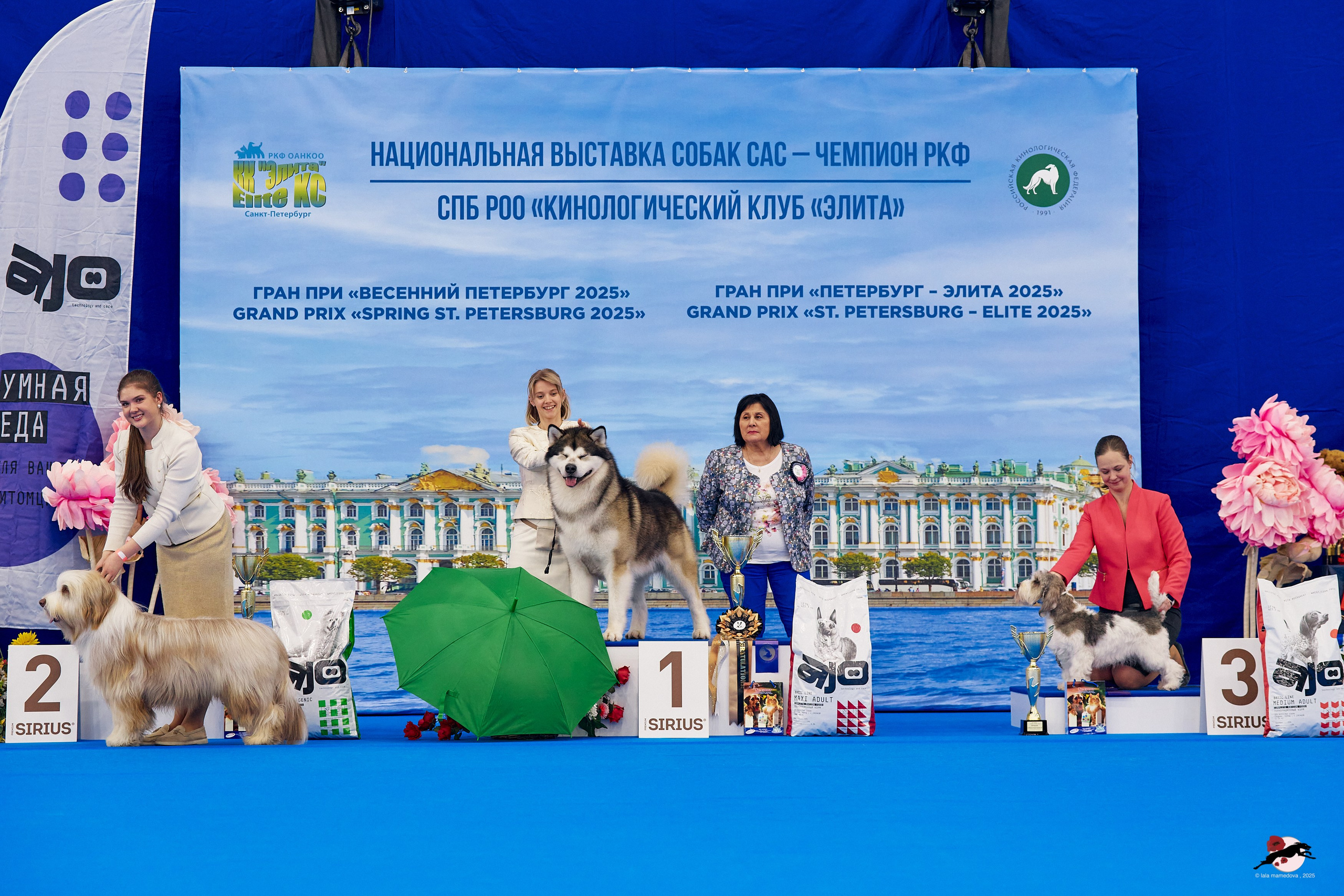 27.04.2025 | "Петербург-Элита 2025" & «КУБОК «ЭЛИТЫ»-2025»