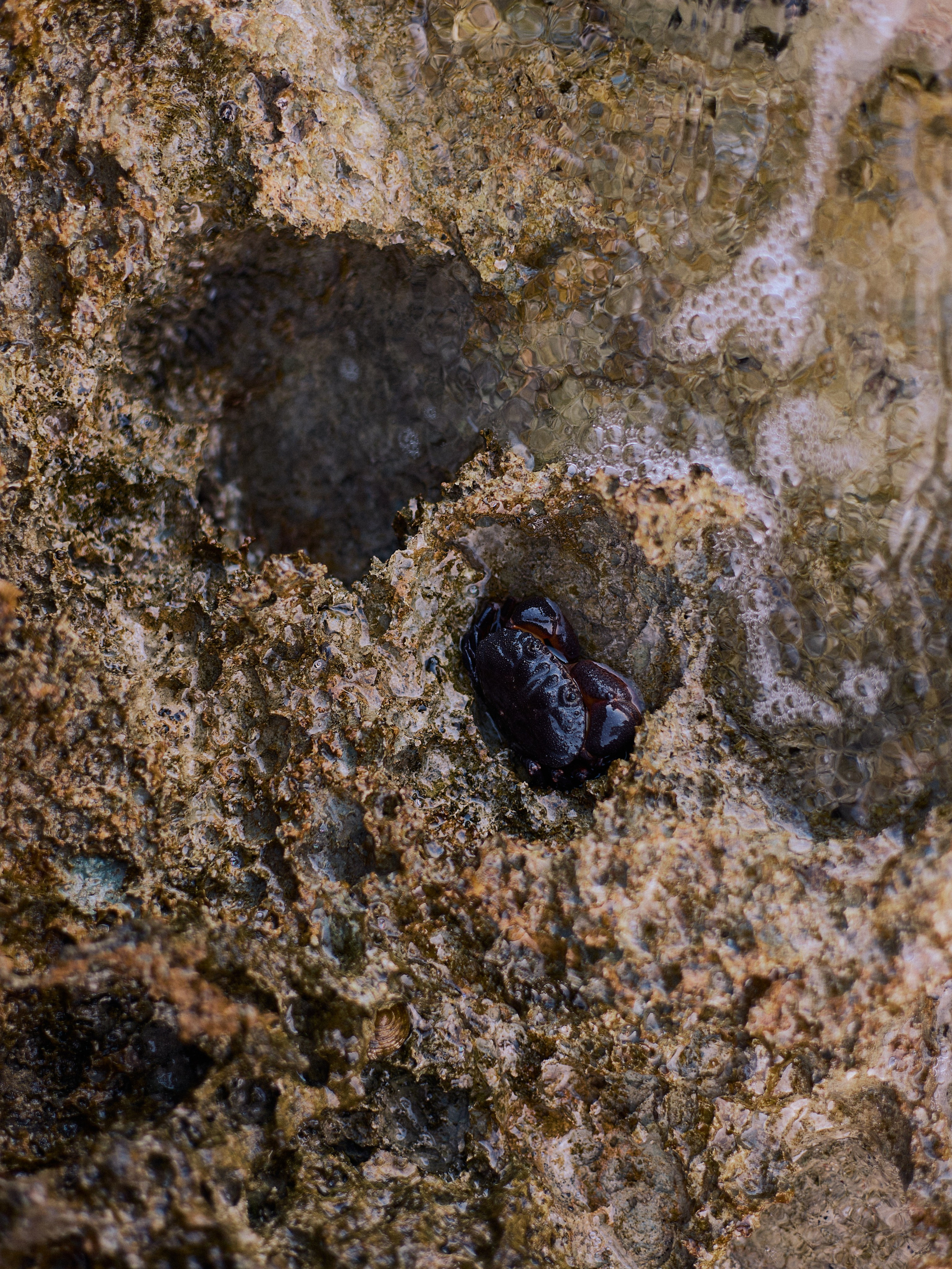 Другое 2. Jorgis Talè — photographer, kind person, teacher of arts and other mag