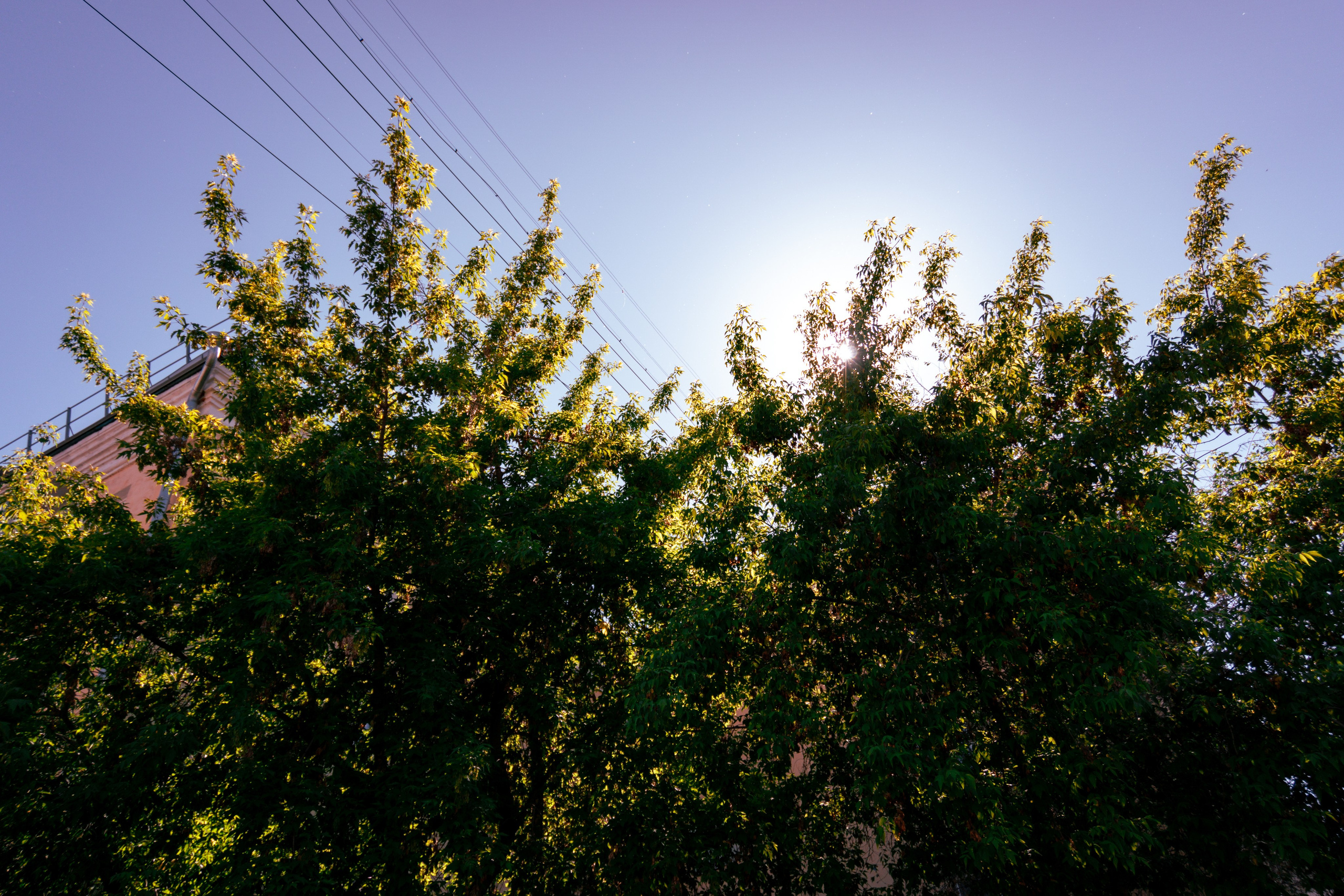 05.06.2025 | Красноярск. Kuznetsov | Фотограф в Красноярске