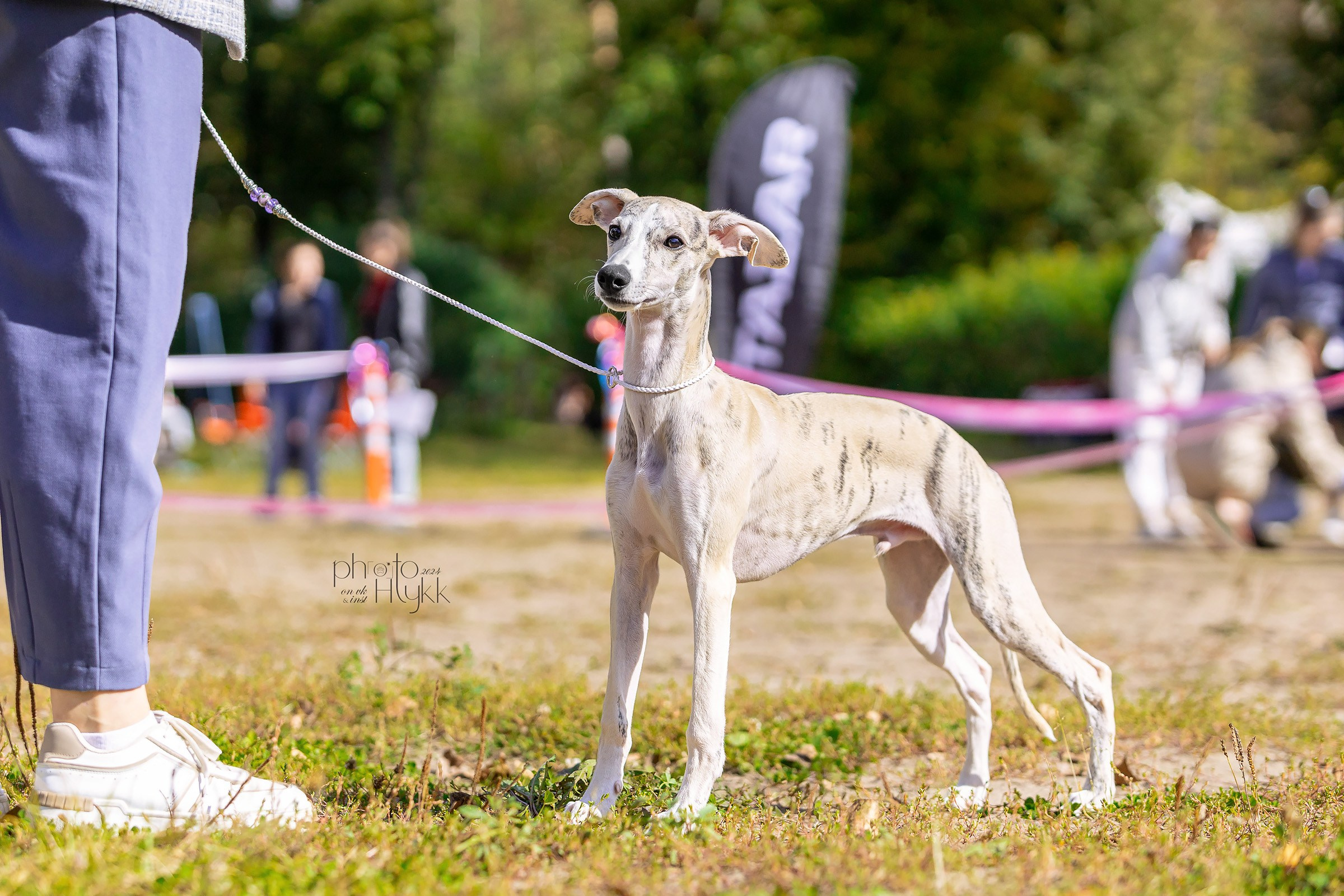 7 сентября 2024, Выставка СКОР, г. Пермь. Htykk_photo