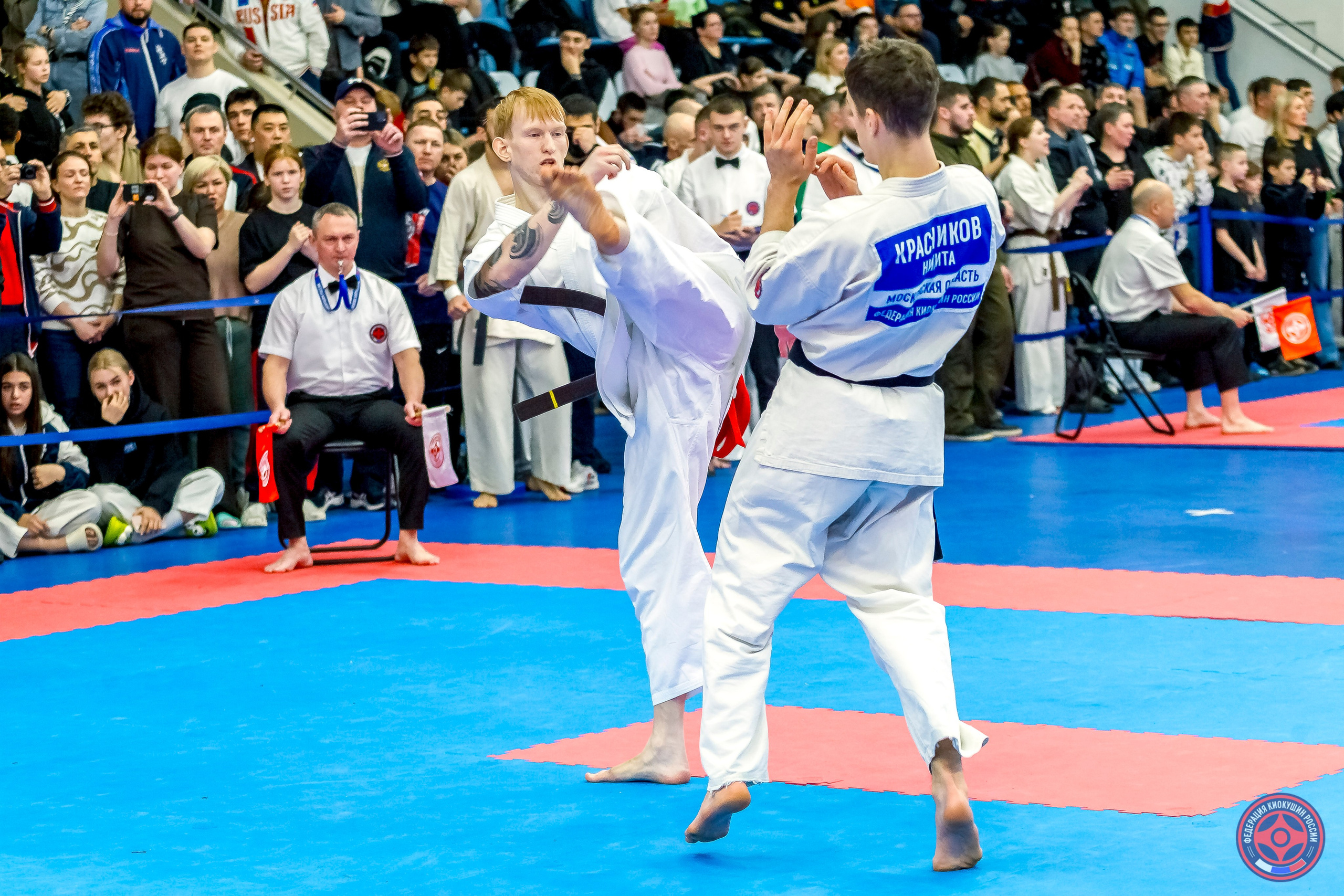 Международный турнир по киокушин «Открытый кубок Seiken». Репортажная съемка в Москве и области. Анималистика