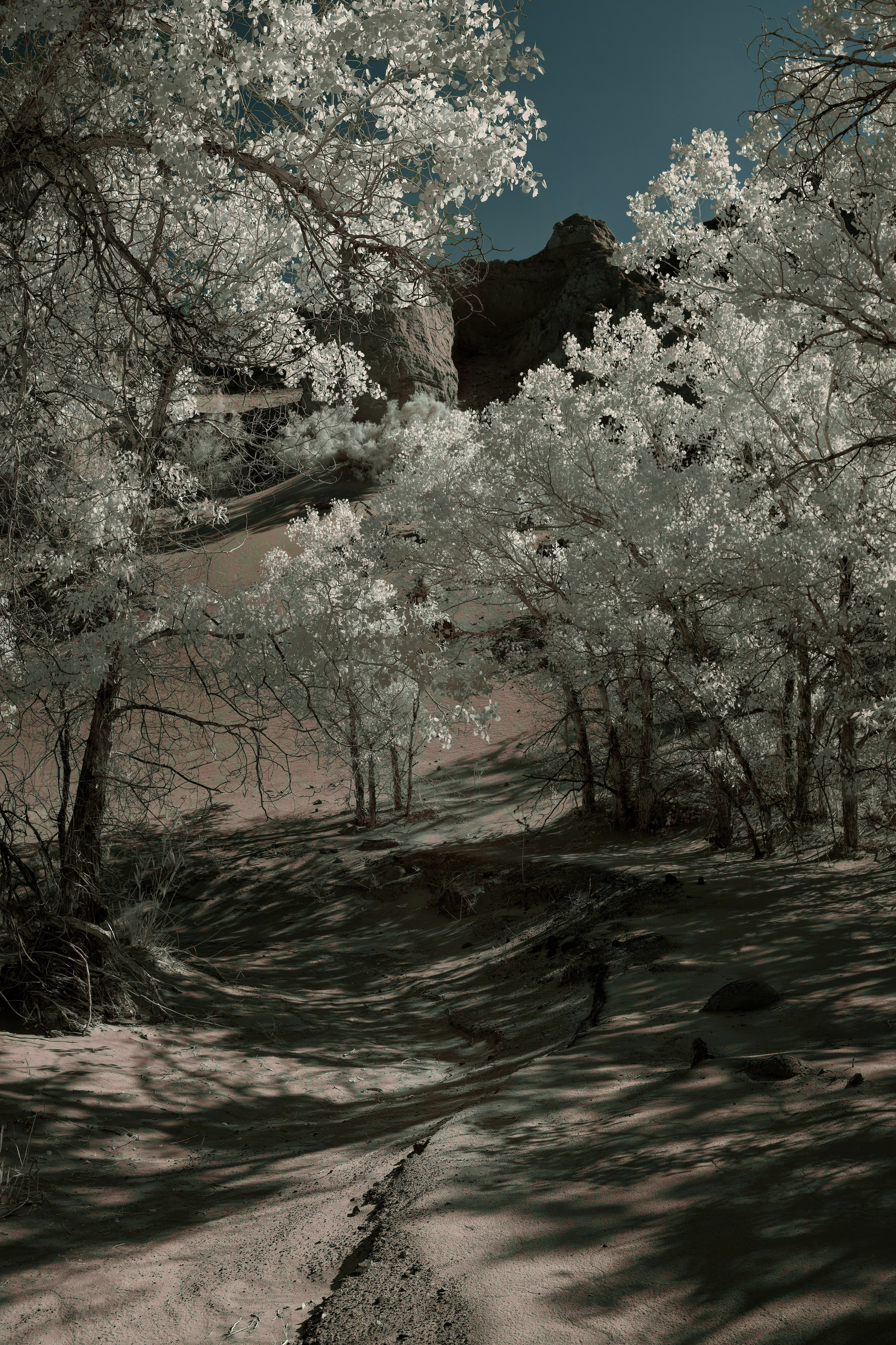 Экспедиция в Монголию (Гоби). Семоха Валерий. Фотограф