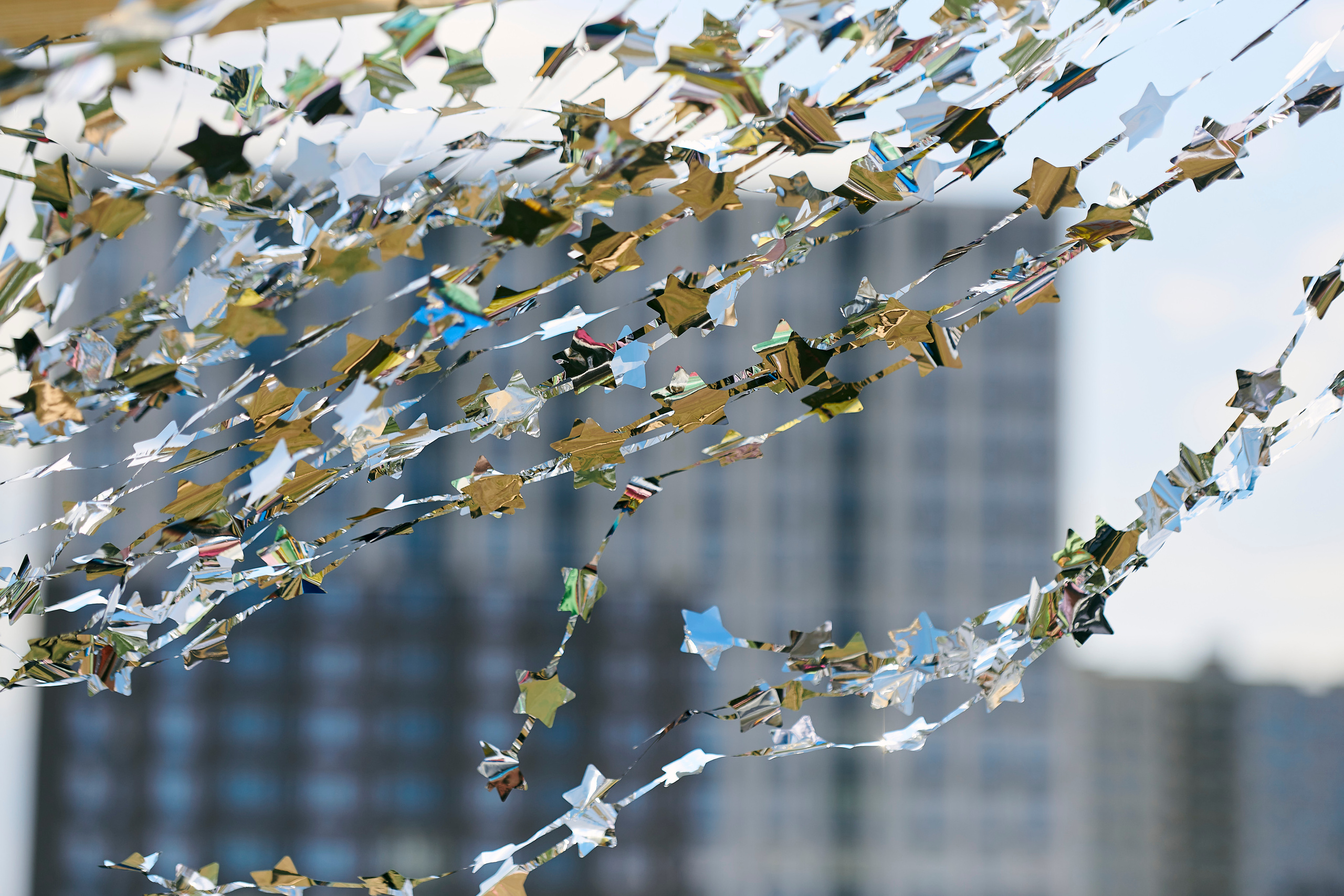 Космофест в Академическом. Фотограф Постольник Дарья