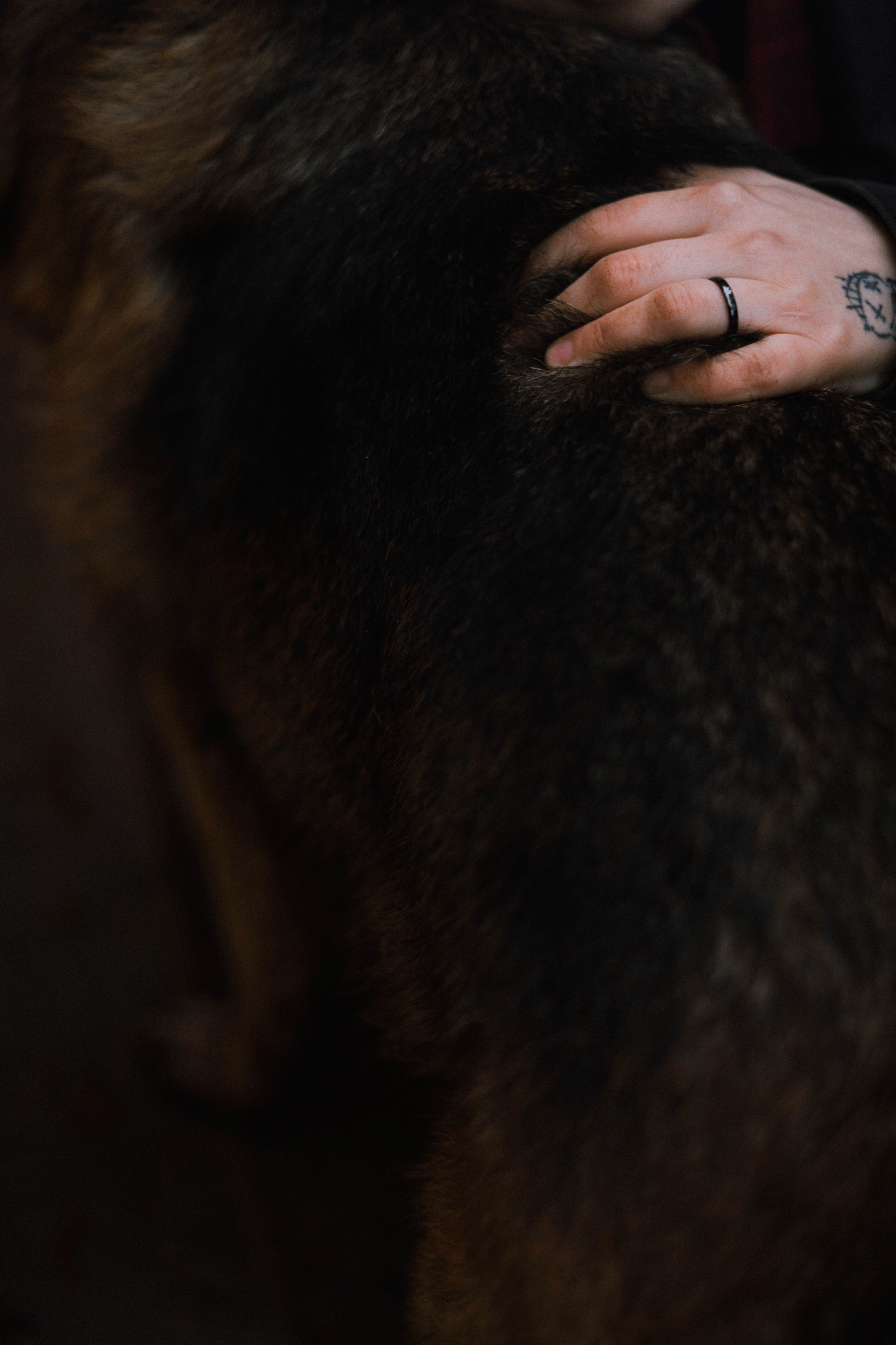 Лера и Ральф. Фотограф-анималист Богданова Полина