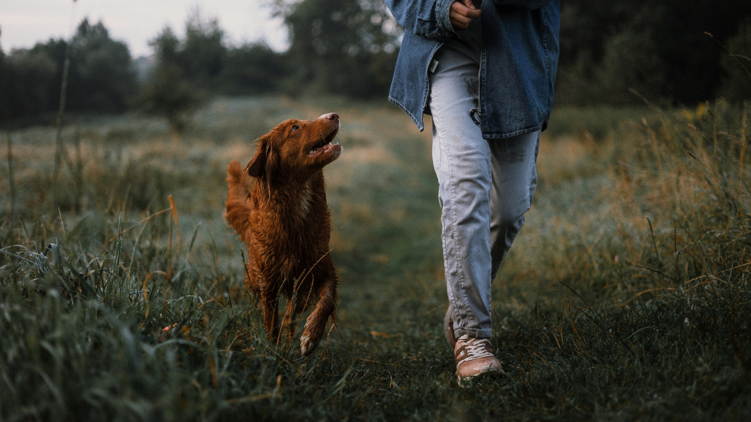 Ксюша и Мэди. Фотограф-анималист Богданова Полина