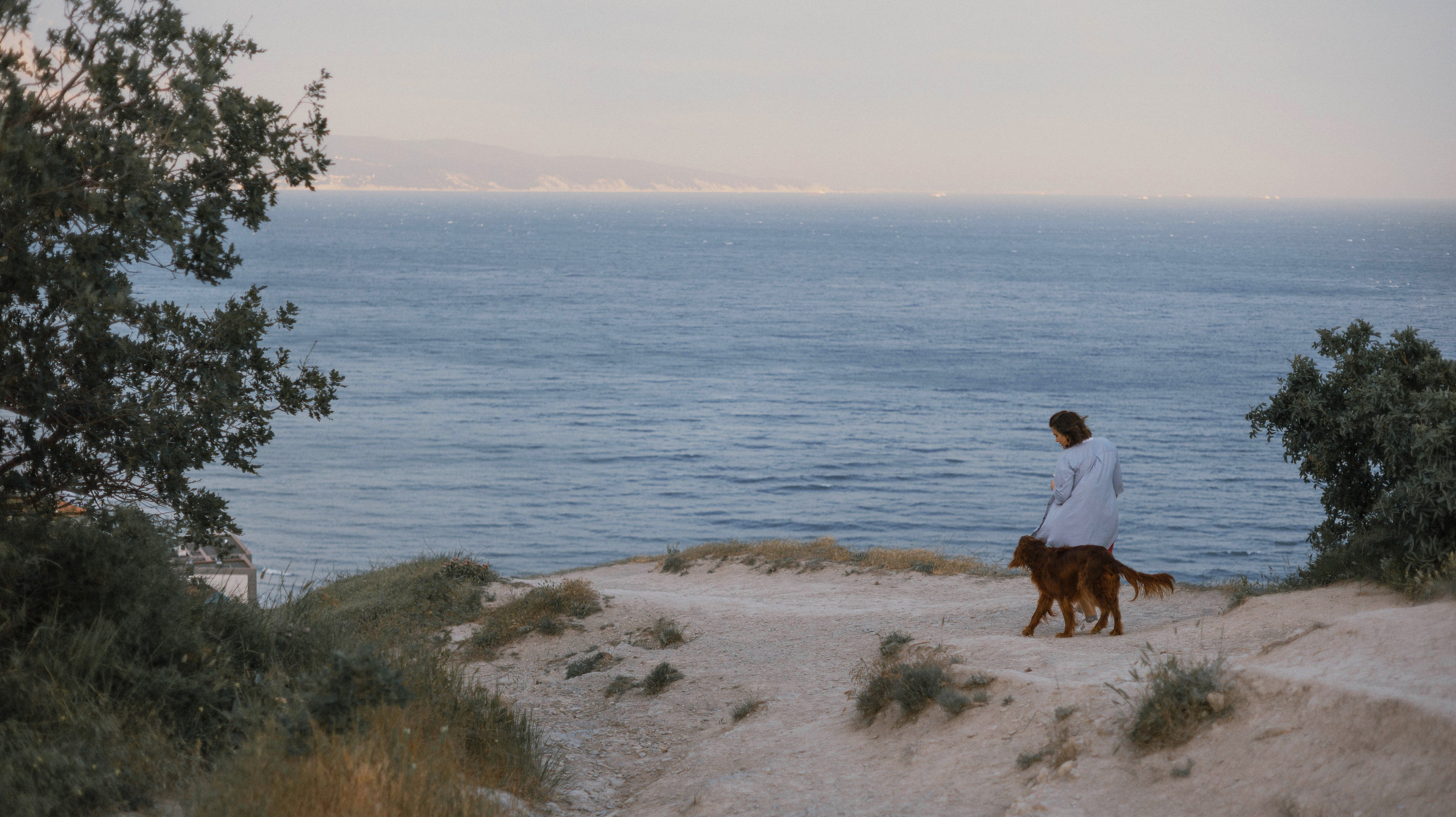 Ольга и Шеймас. Фотограф-анималист Богданова Полина