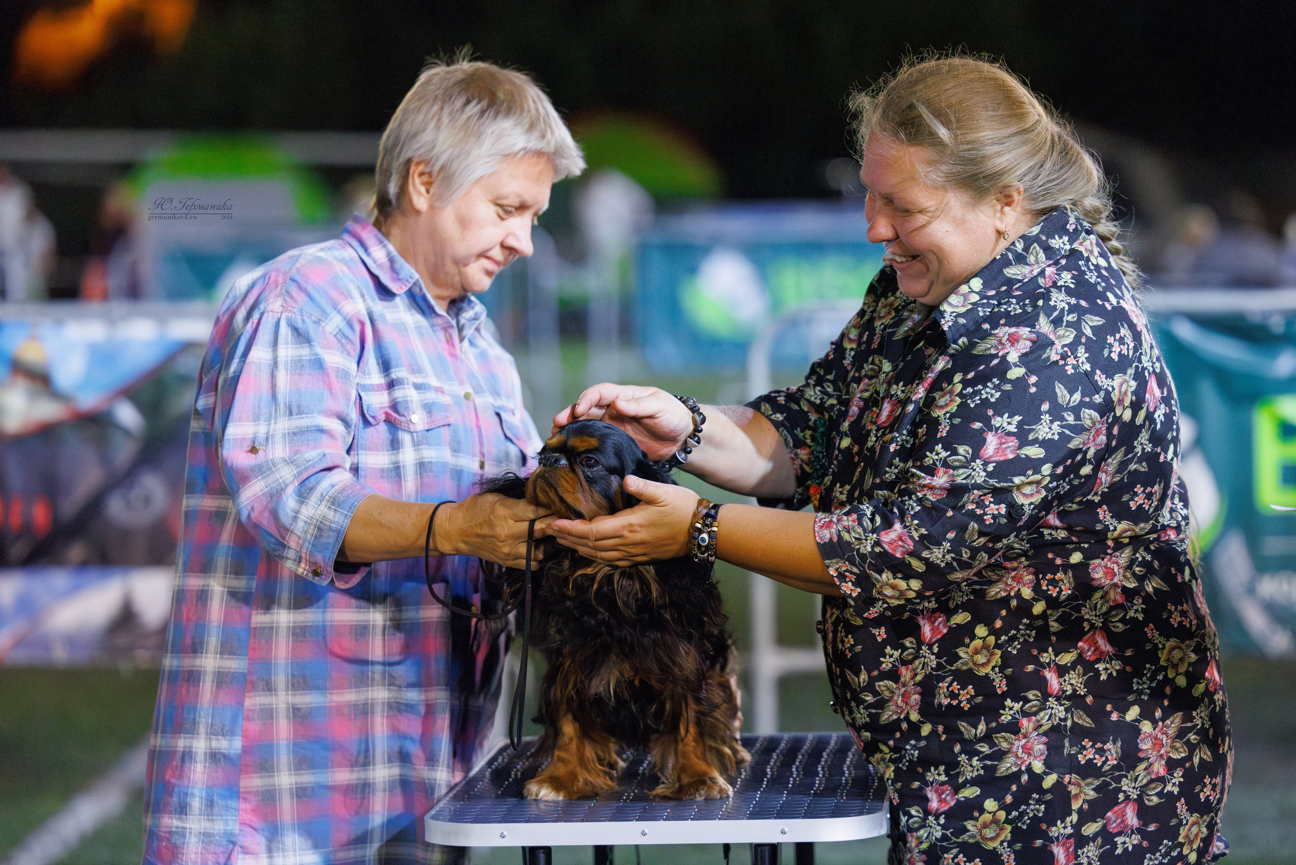 Волгоград 2-4.08.2024. Фотограф-анималист Юлия Германика