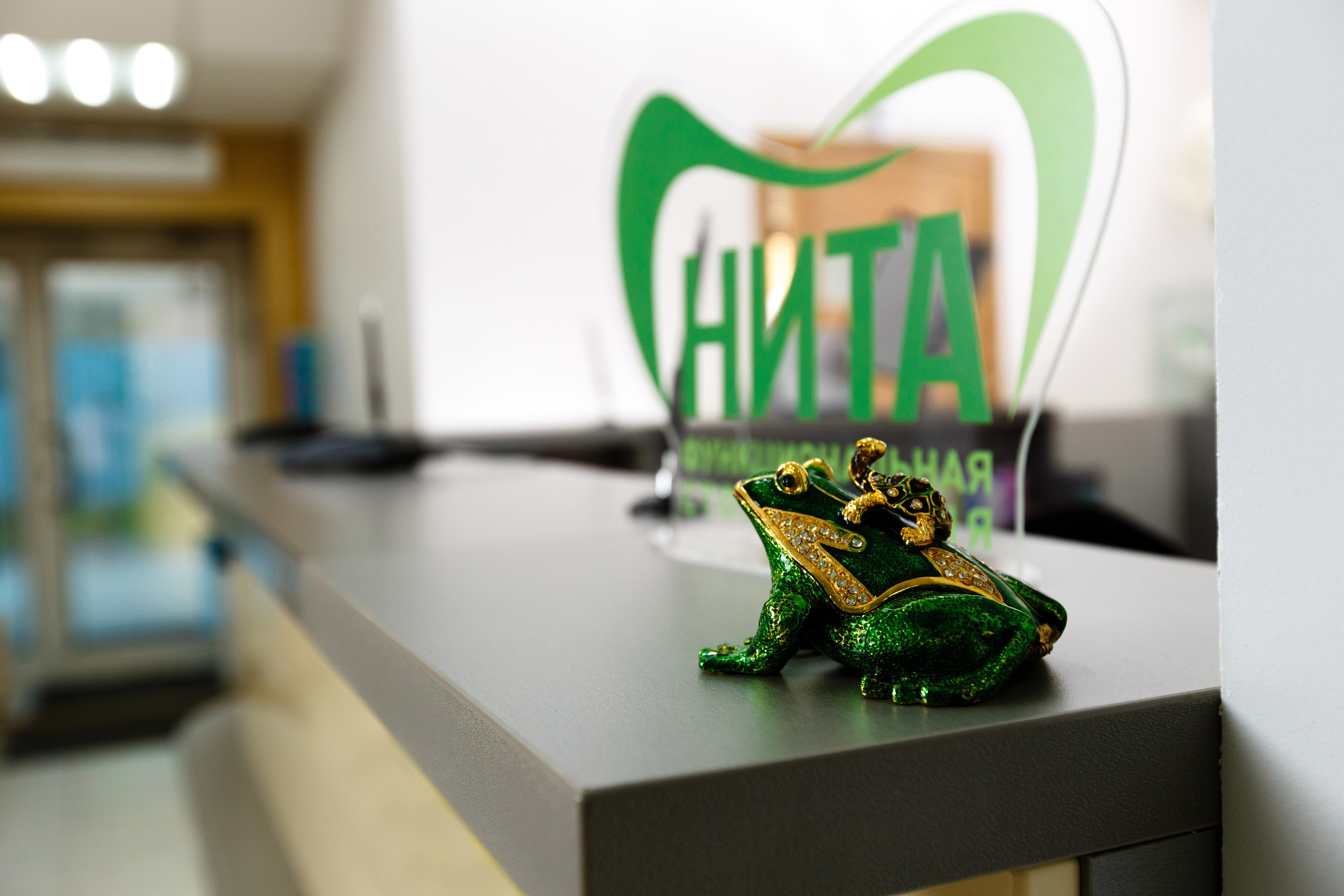 NITA СТОМАТОЛОГИЯ. Выпускные альбомы Красноярск