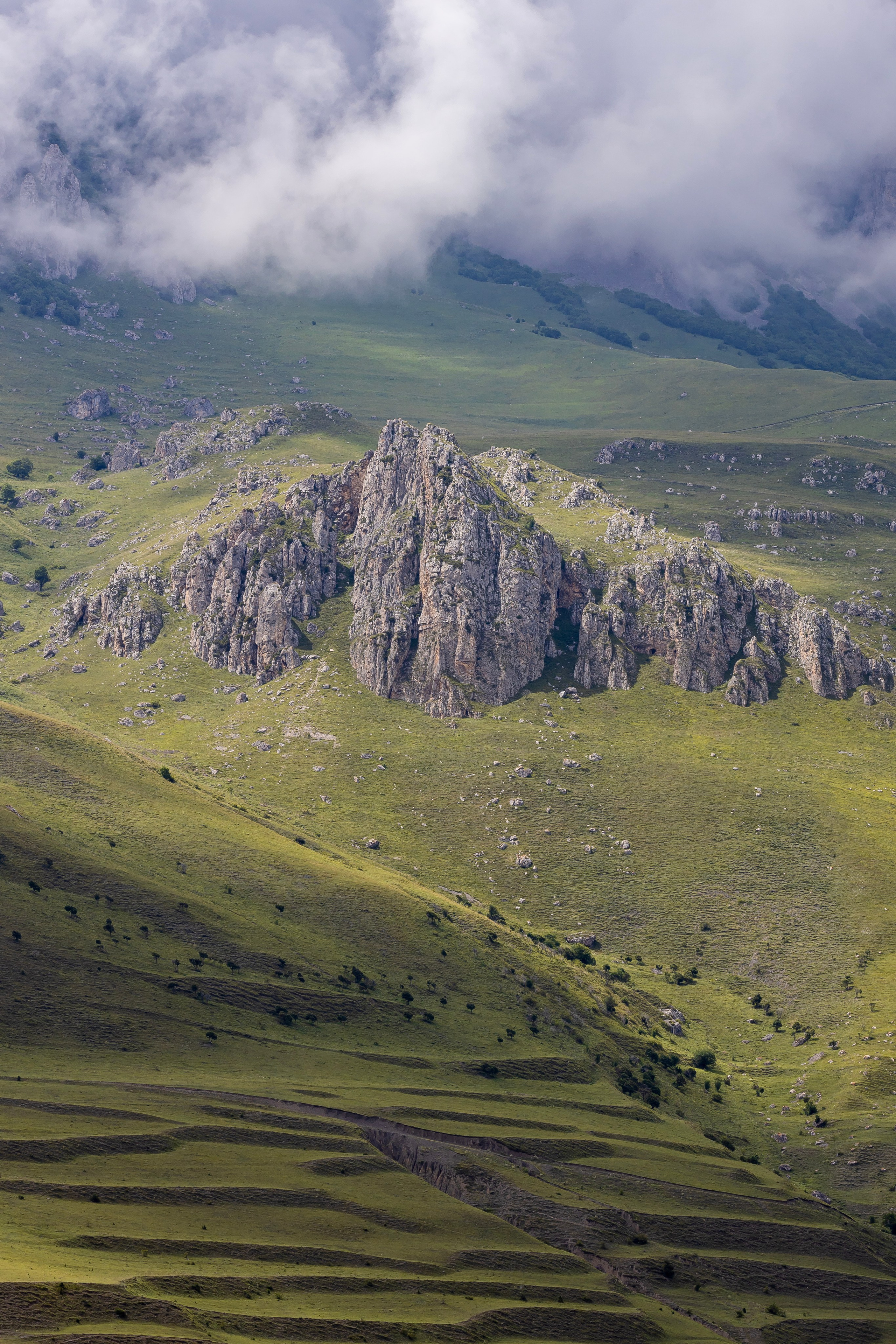 Природа. Макс По — фото и видео съемки любого формата