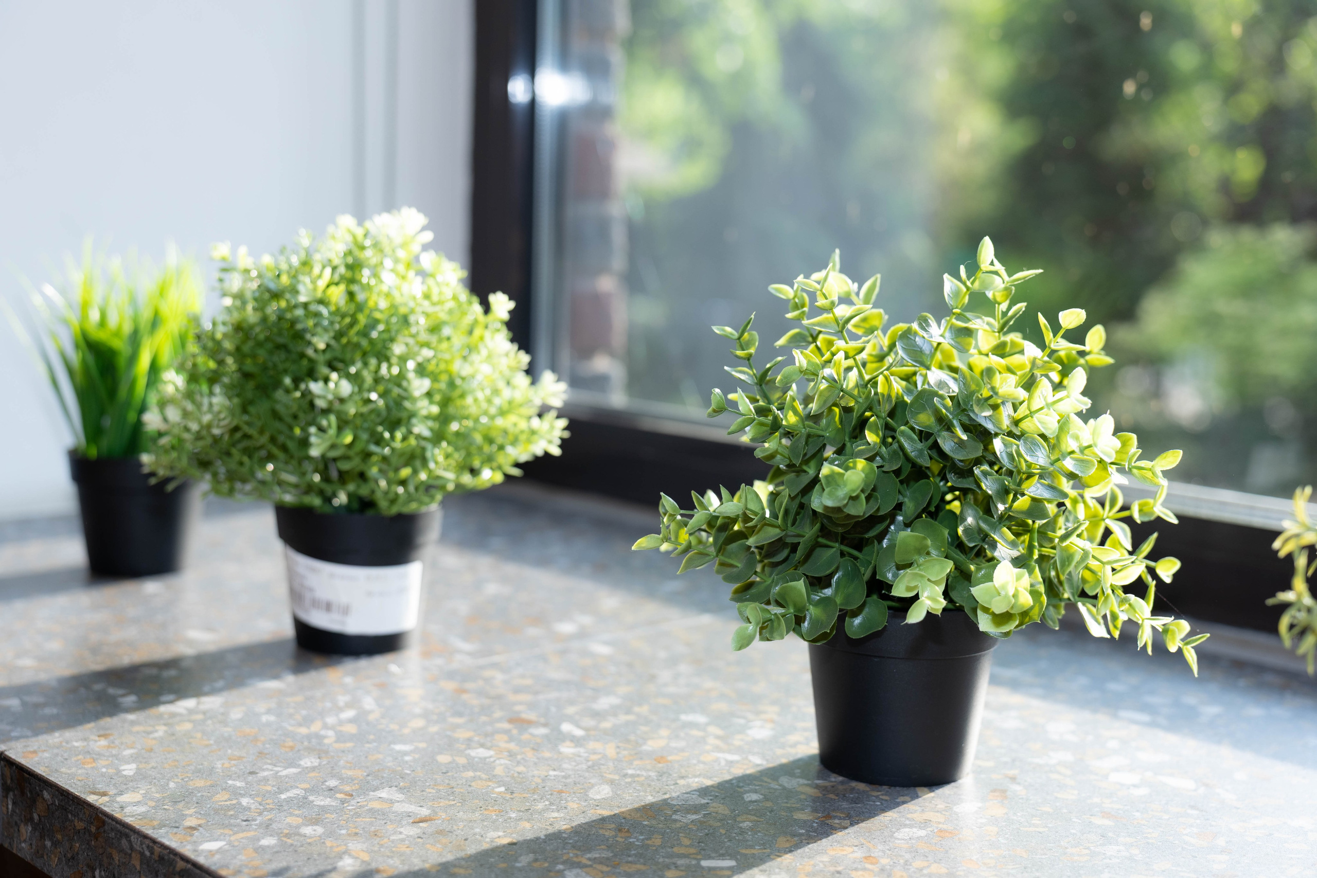 День рождения. Семейный свадебный и репортажный фотограф в Москве Ольга Бабицкая