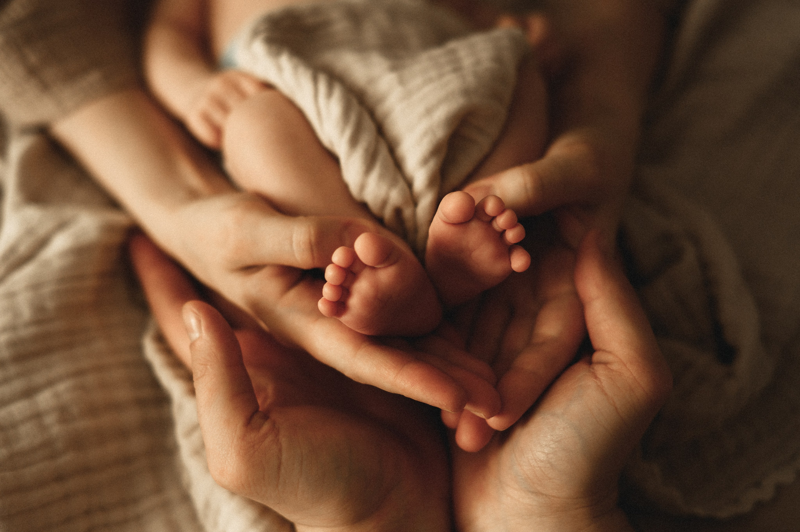 Семейные съёмки. Семейный фотограф в г. Ставрополь, Сорокина Мария