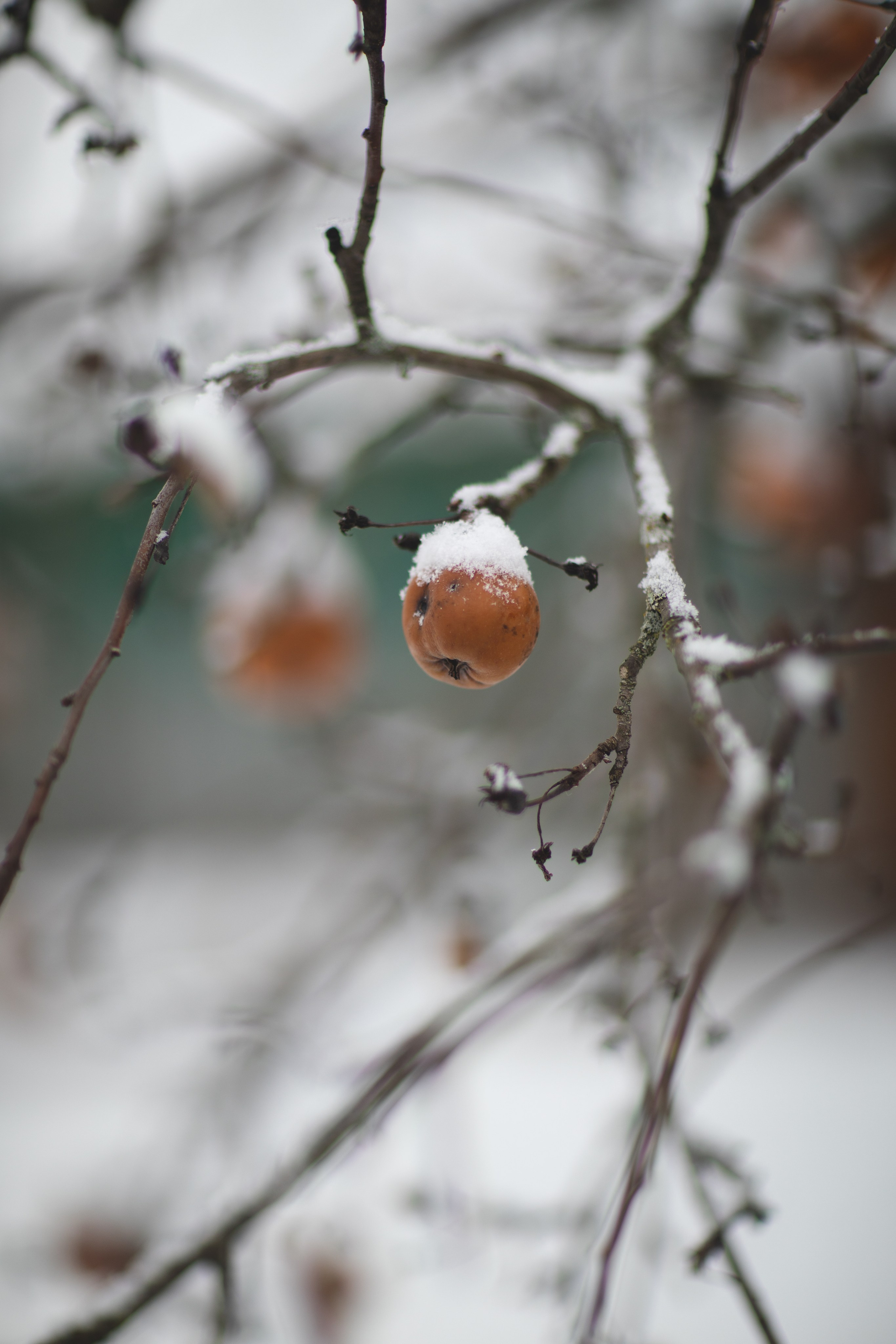 Фототур «Край озер» Зима. Семейный фотограф в Москве Анастасия Гурьянова