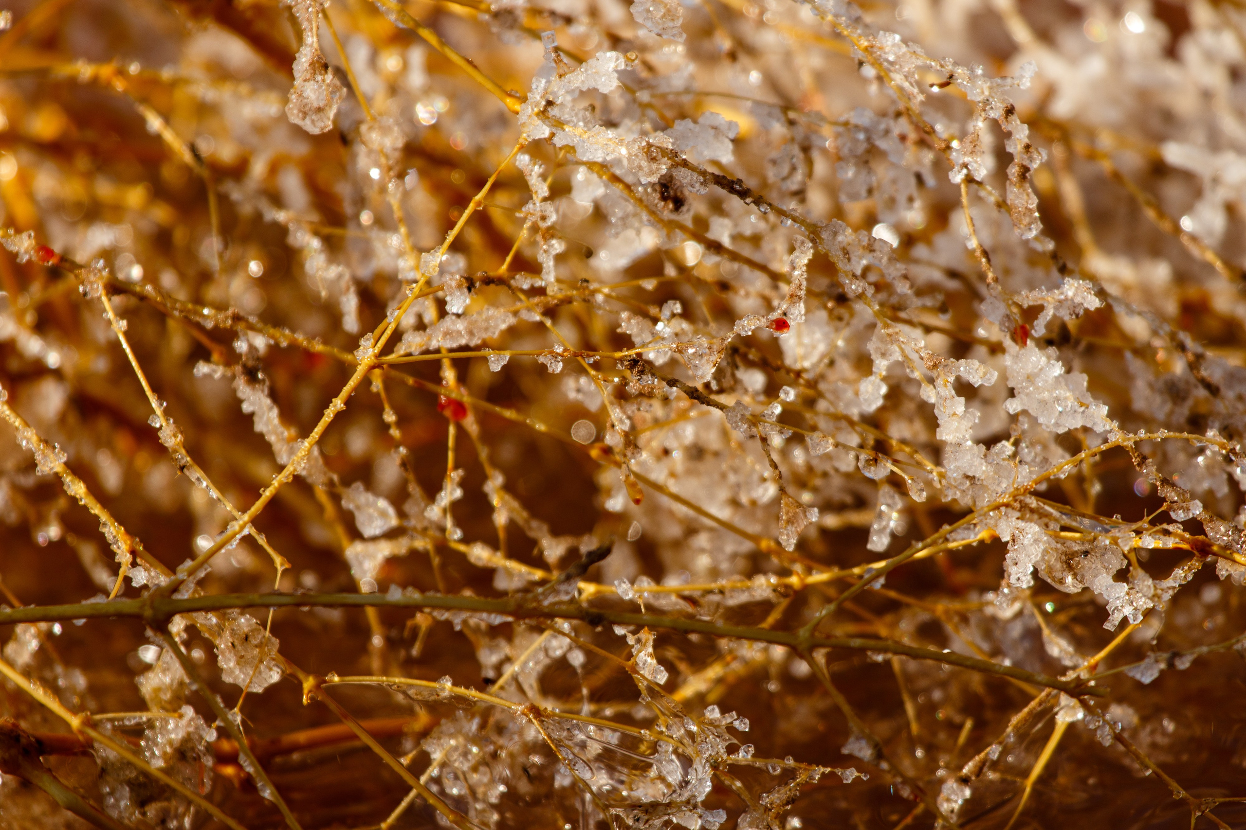 Фототур Бурсоль. Фотограф Кирилл Мешков Кемерово