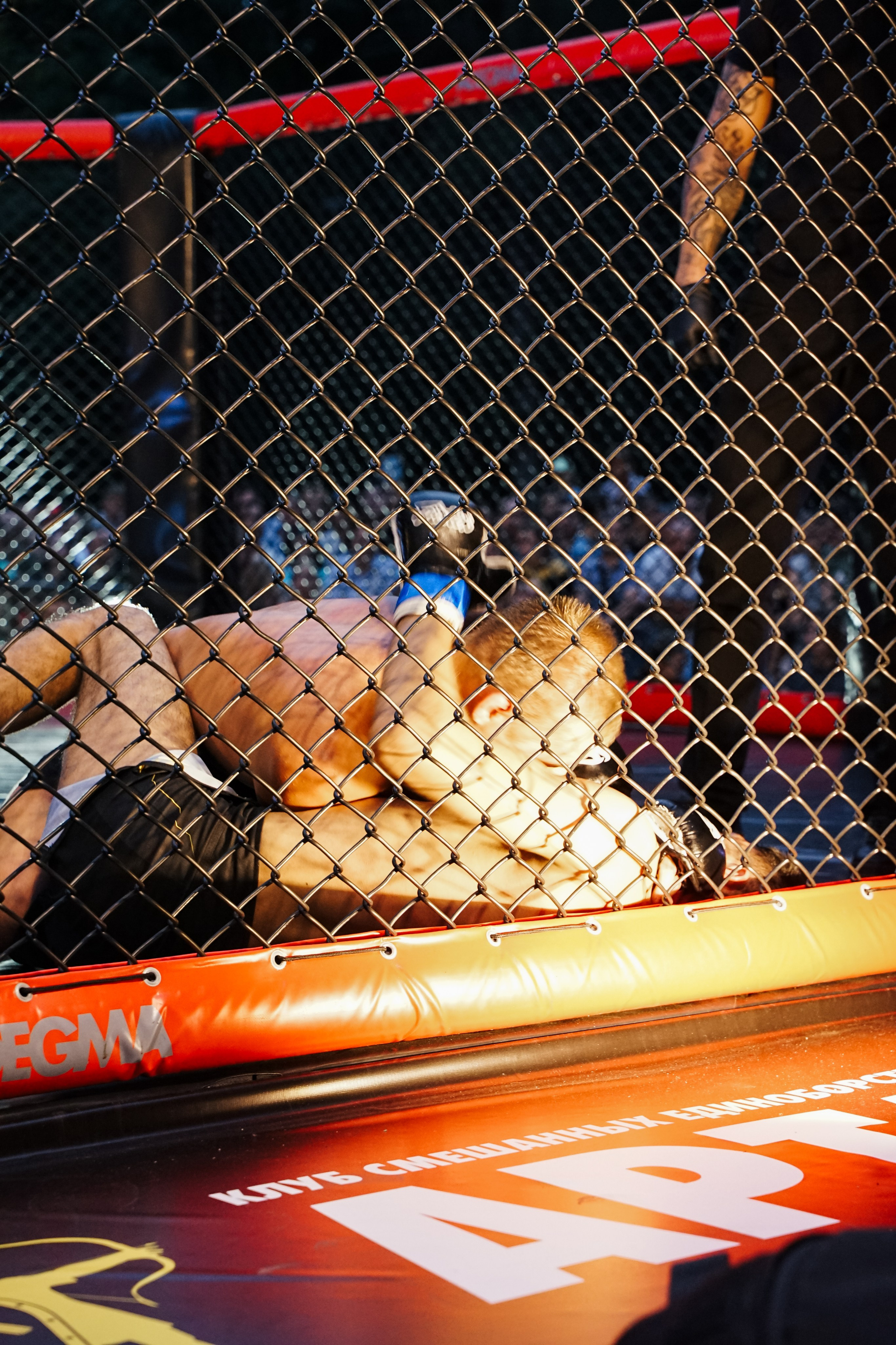 Вечер боев в ЦПКиО. Фотограф Надежда Погребняк | Рязань | Москва