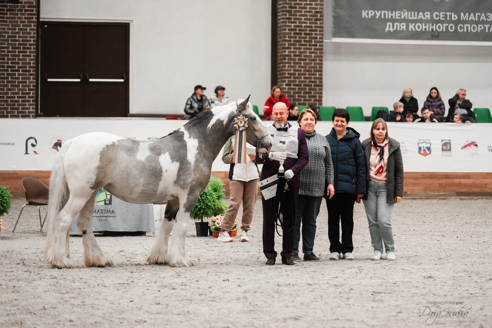 8-я международная выставка Конная Россия. Конный фотограф Куракина Дарья • Фотосессии с лошадьми