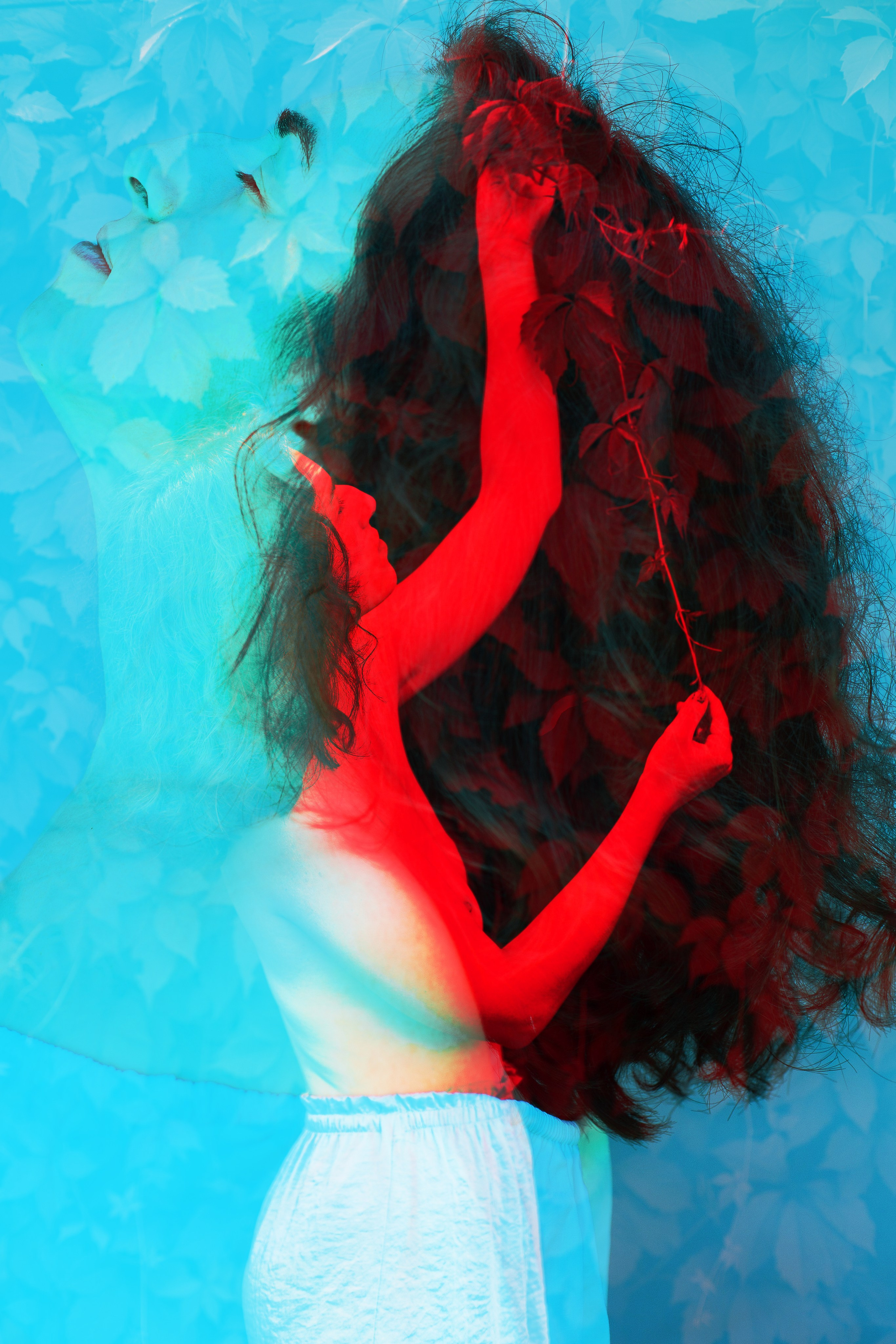 искусство, красота, цветы, multi exposure,art, beauty, flowers, video,girl,photo,photographer