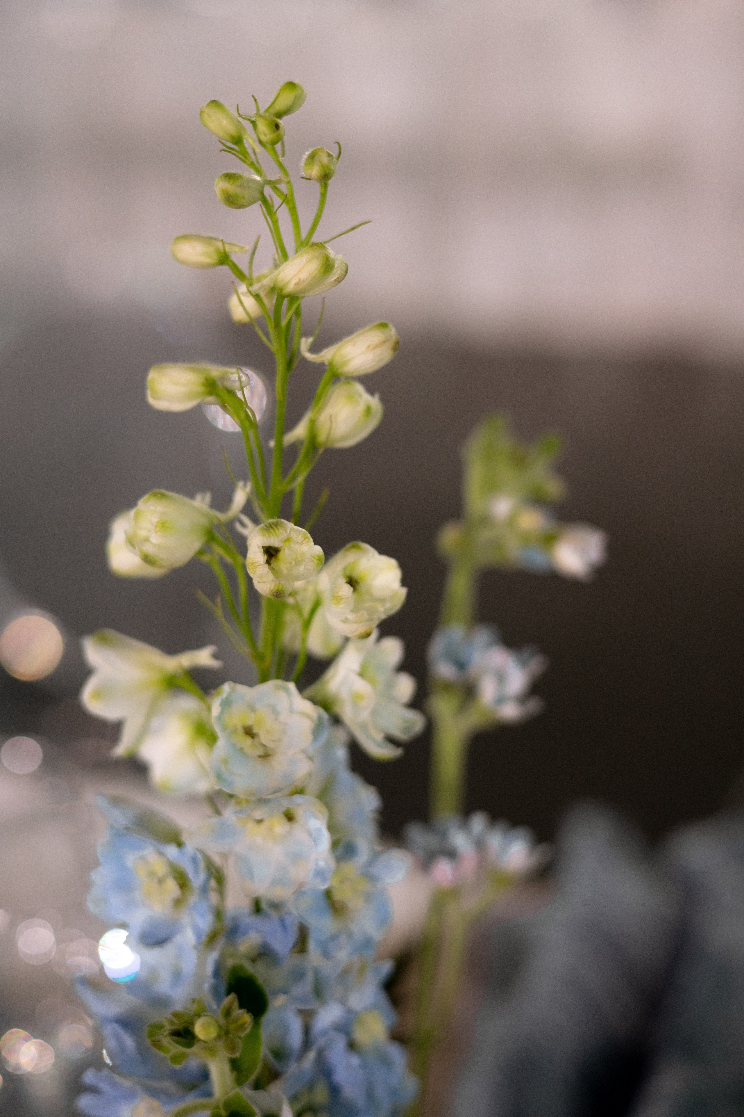 Анастасия & Никита. Оформление свадеб, декор свадеб Вера Маркова, Москва