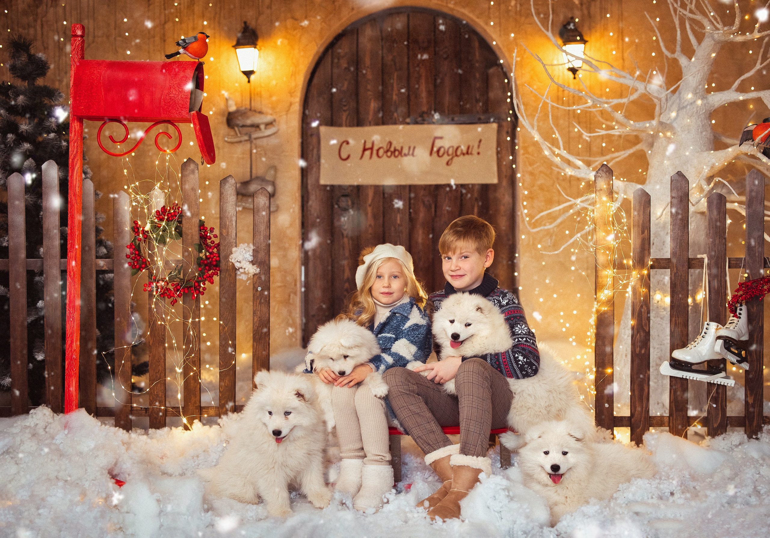 ДВОРИК, Фотостудия «Эль». Семейный и детский фотограф в Краснодаре Анна Трашкова