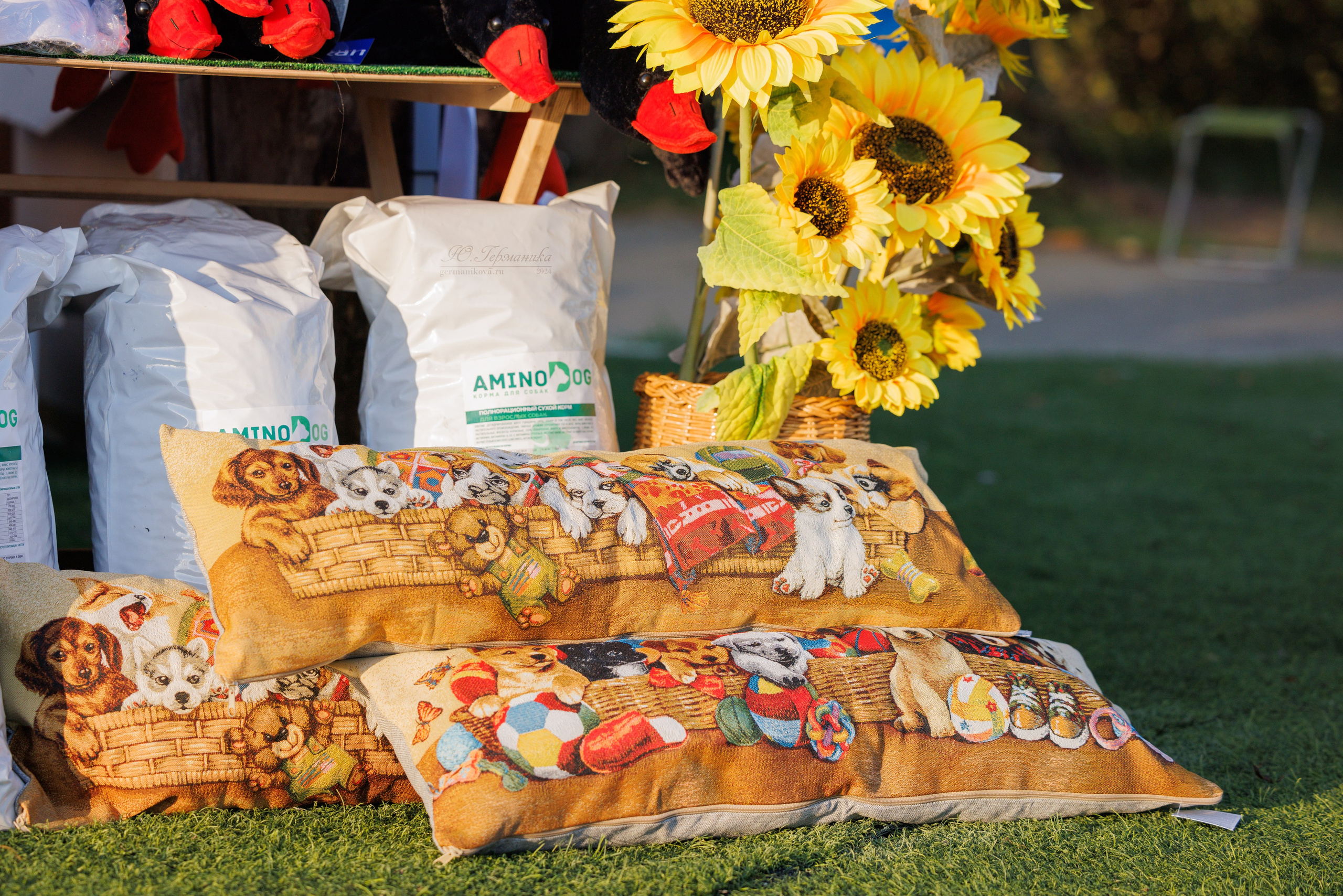 Анапа ротвейлеры 14-15.09.2024. Фотограф-анималист Юлия Германика