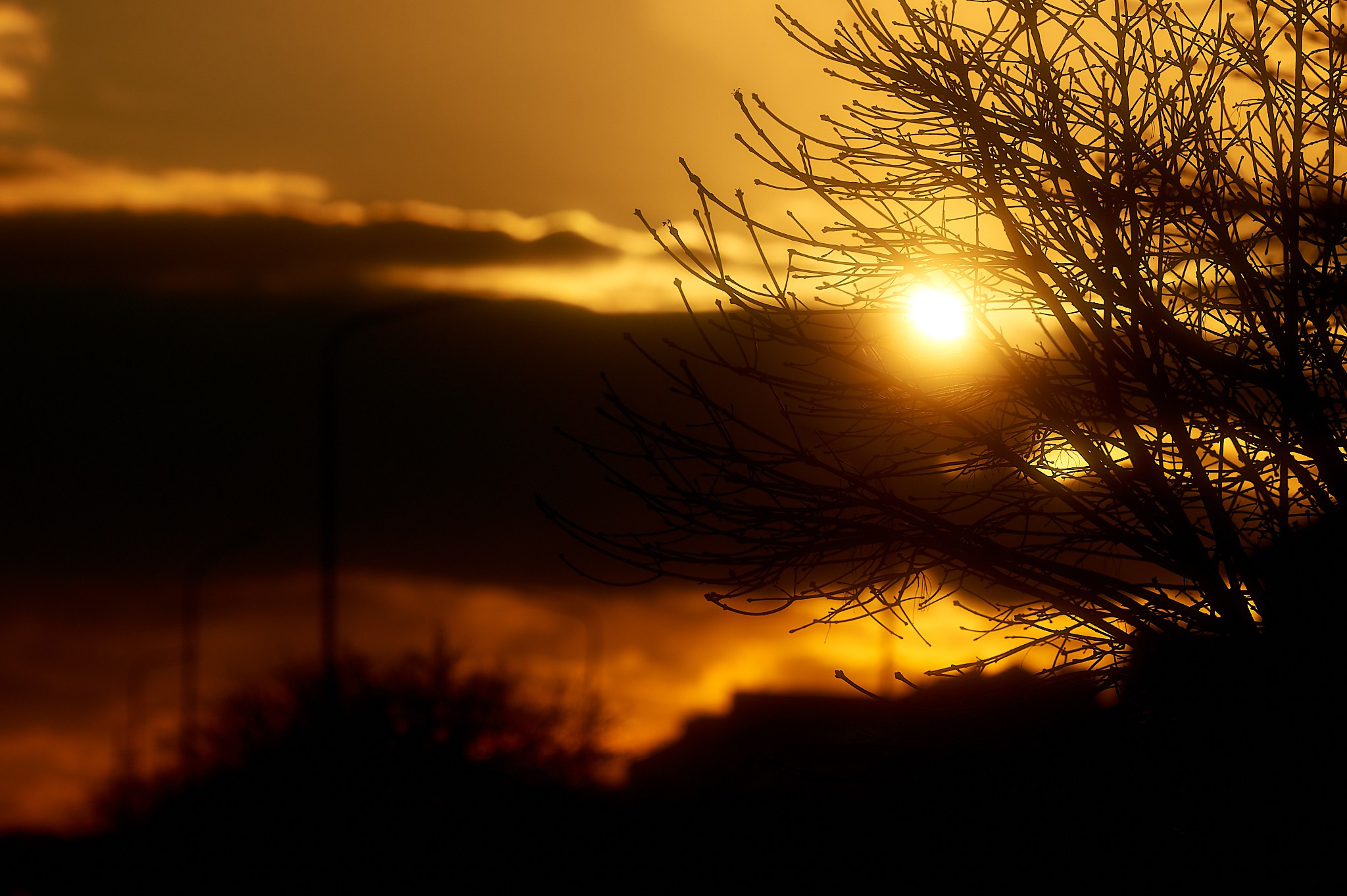 Уличный фотограф в Москве