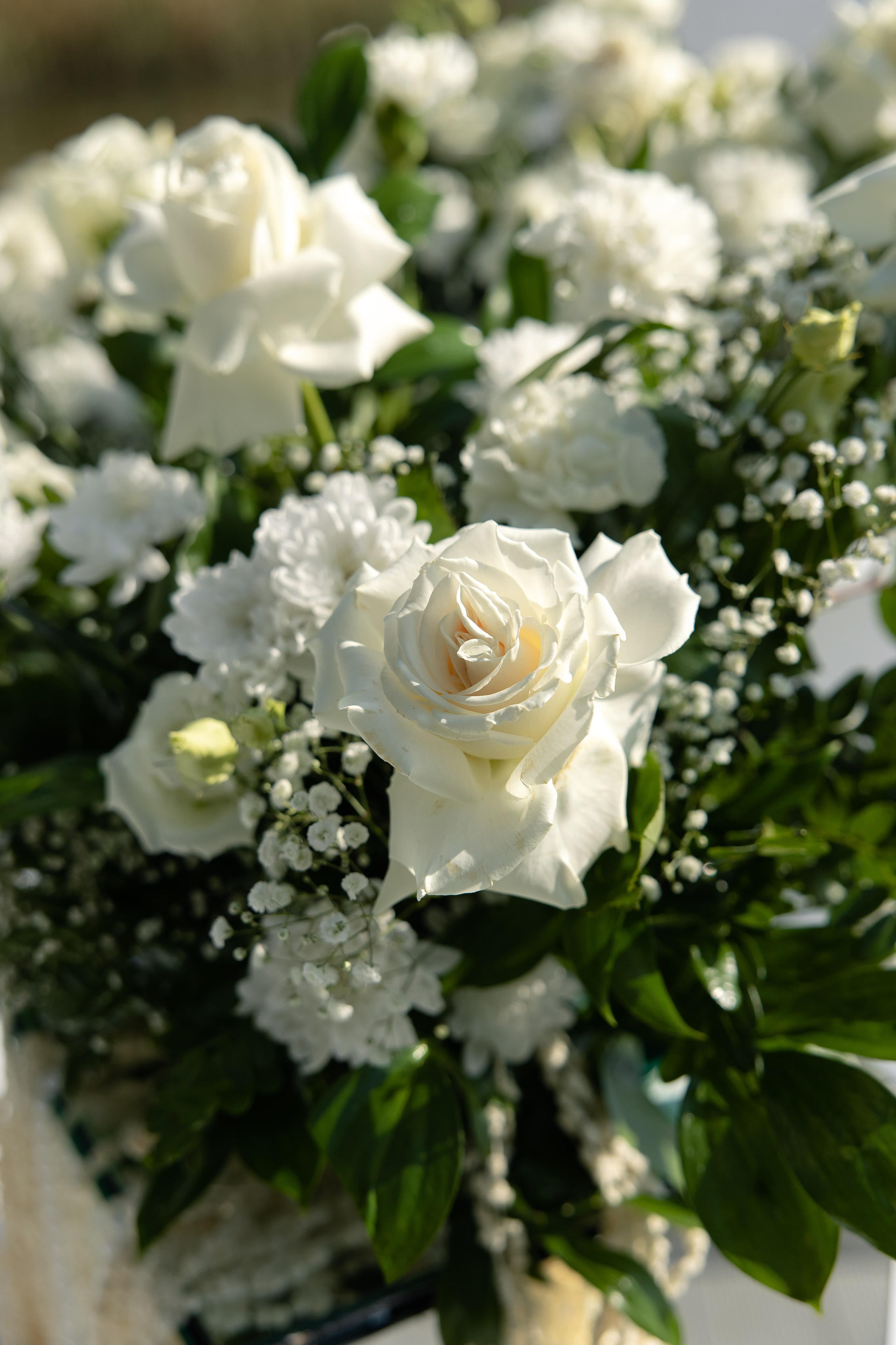 Олег и Варя. Свадебный и семейный фотограф в Новосибирске Наталья Зорина