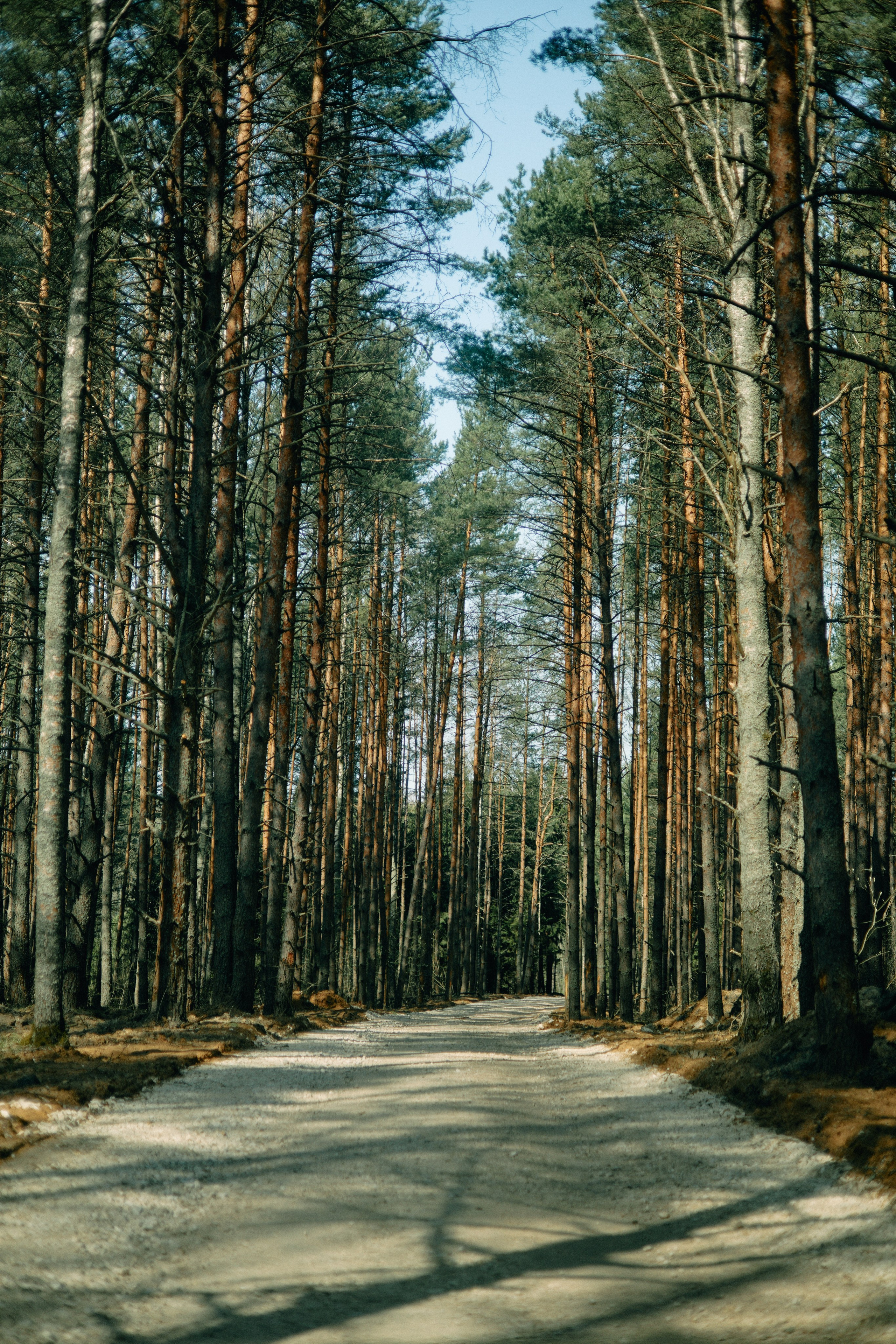 Бутик-отель Поле летом. Профессиональный Фотограф во Владимире, в Москве и в Суздале — Полина Романычева