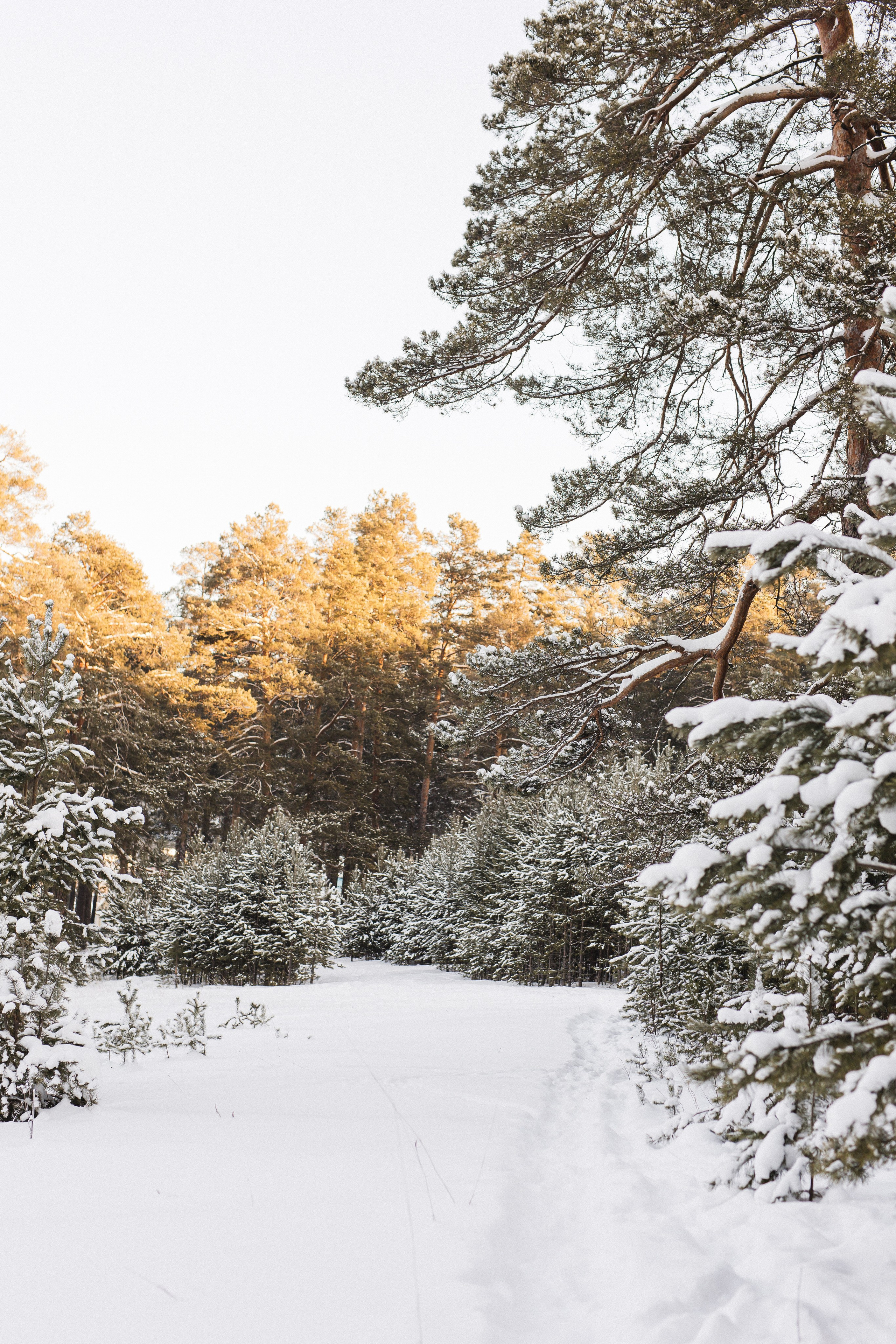 Екатерина. Фотограф Анастасия Петрова