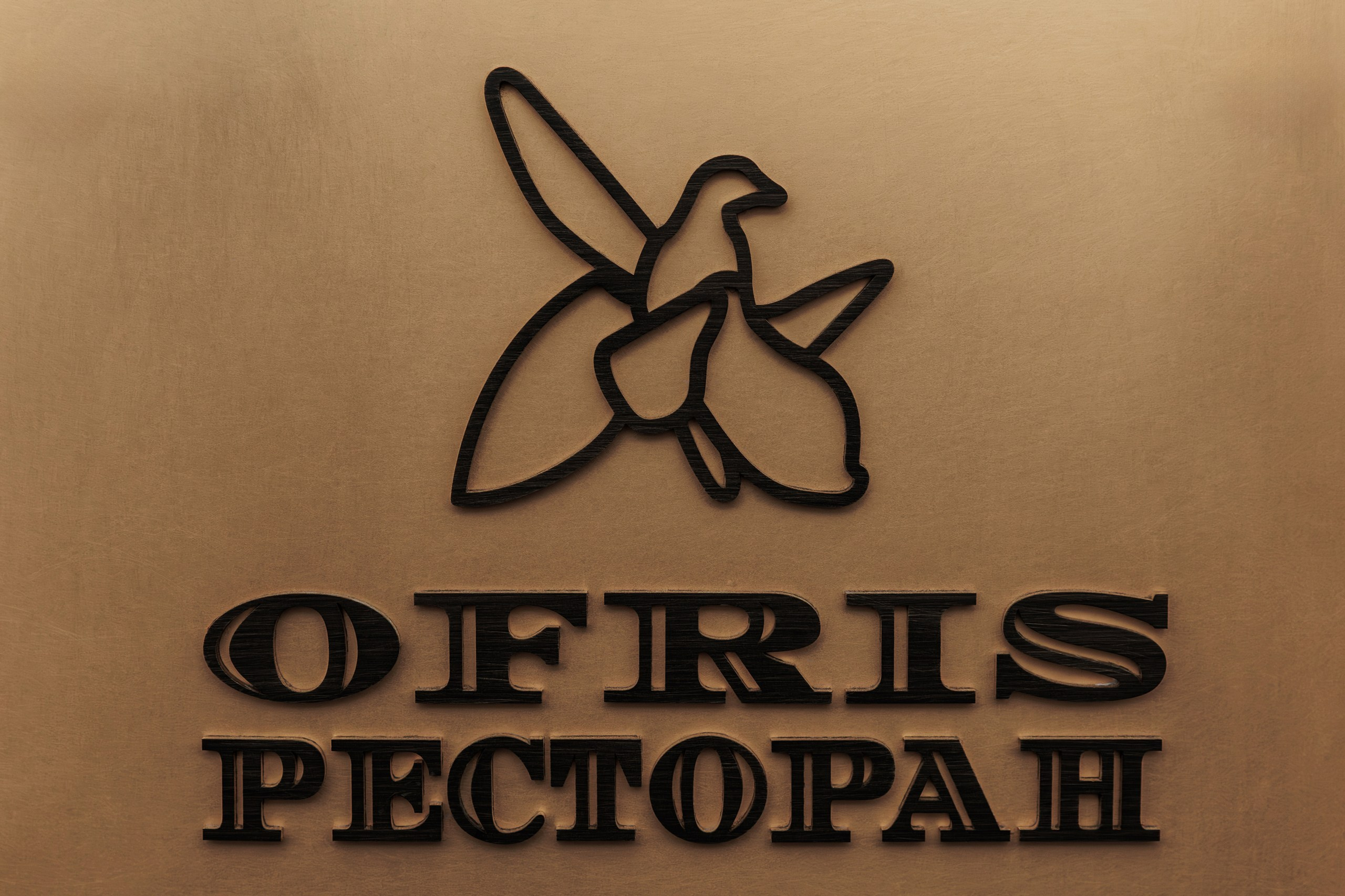 Ресторан Ofris. Night2Day Санкт-Петербург