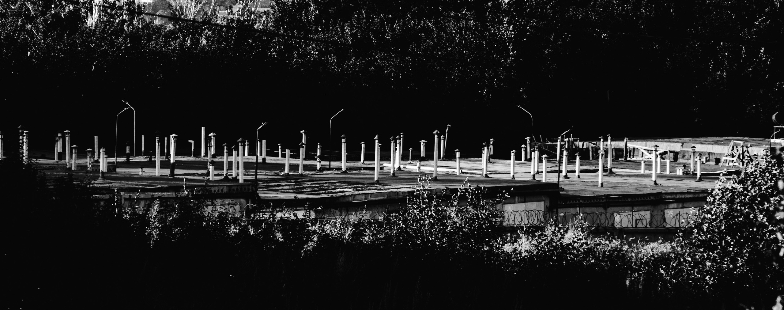 Noir of the Metropolis. Whoii art