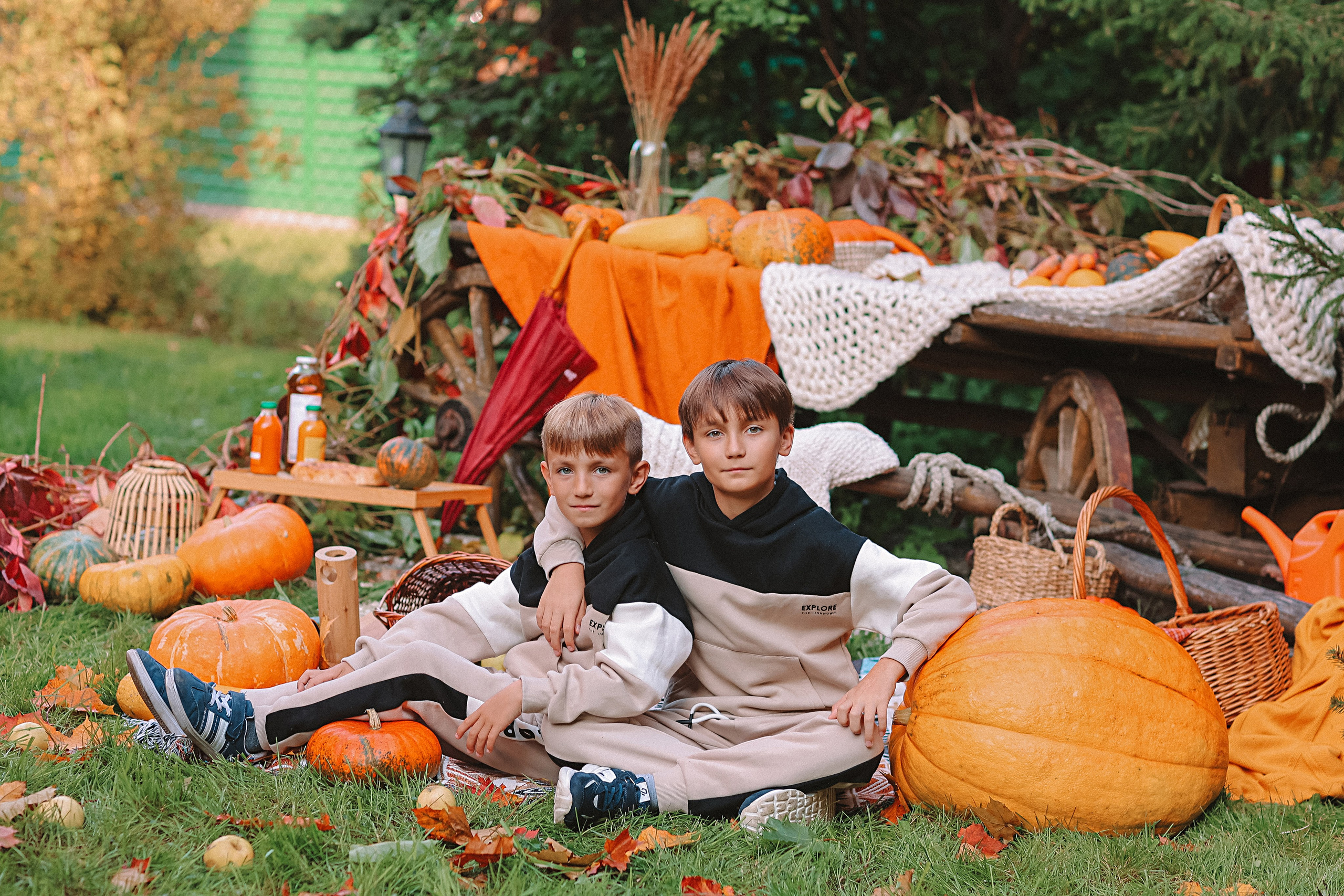 Тыквы. Семейный фотограф Тюмень, фотограф на роды Салмина Мария