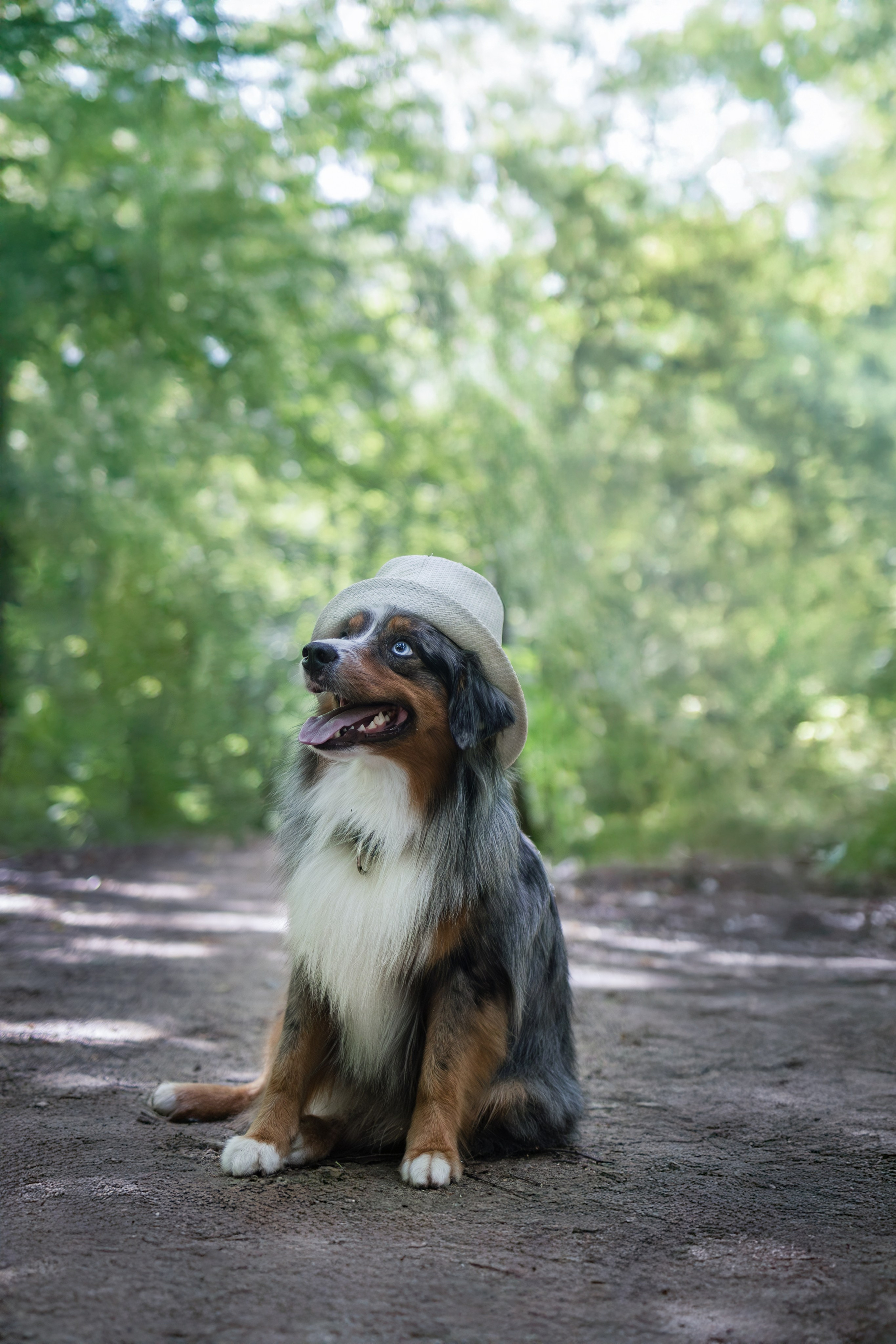 Макс и Сезам. Виктория Михайловская. Фотограф-анималист. Москва