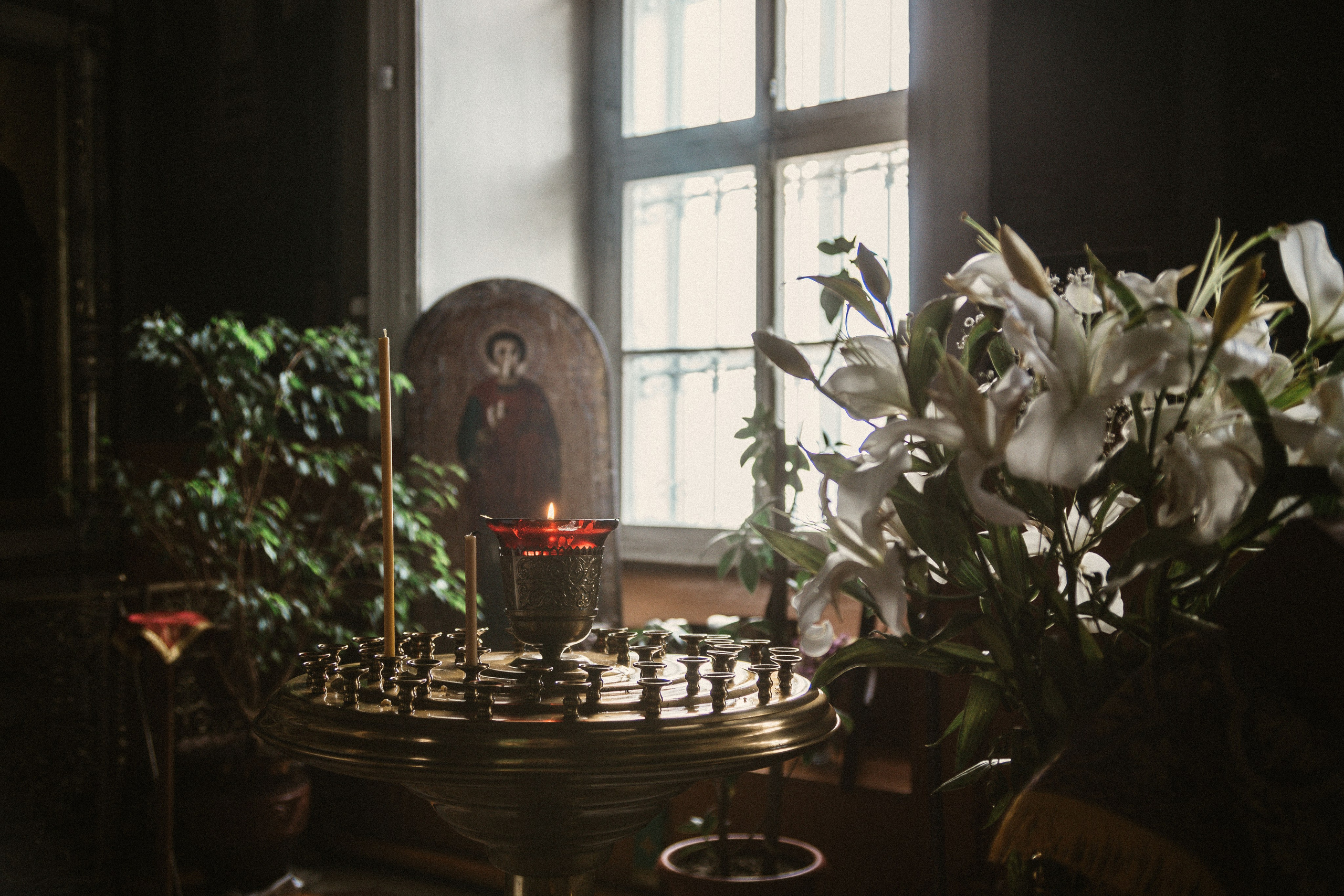 Land Rover Trip-8. Жуков Илья  свадебный фотограф в Москве