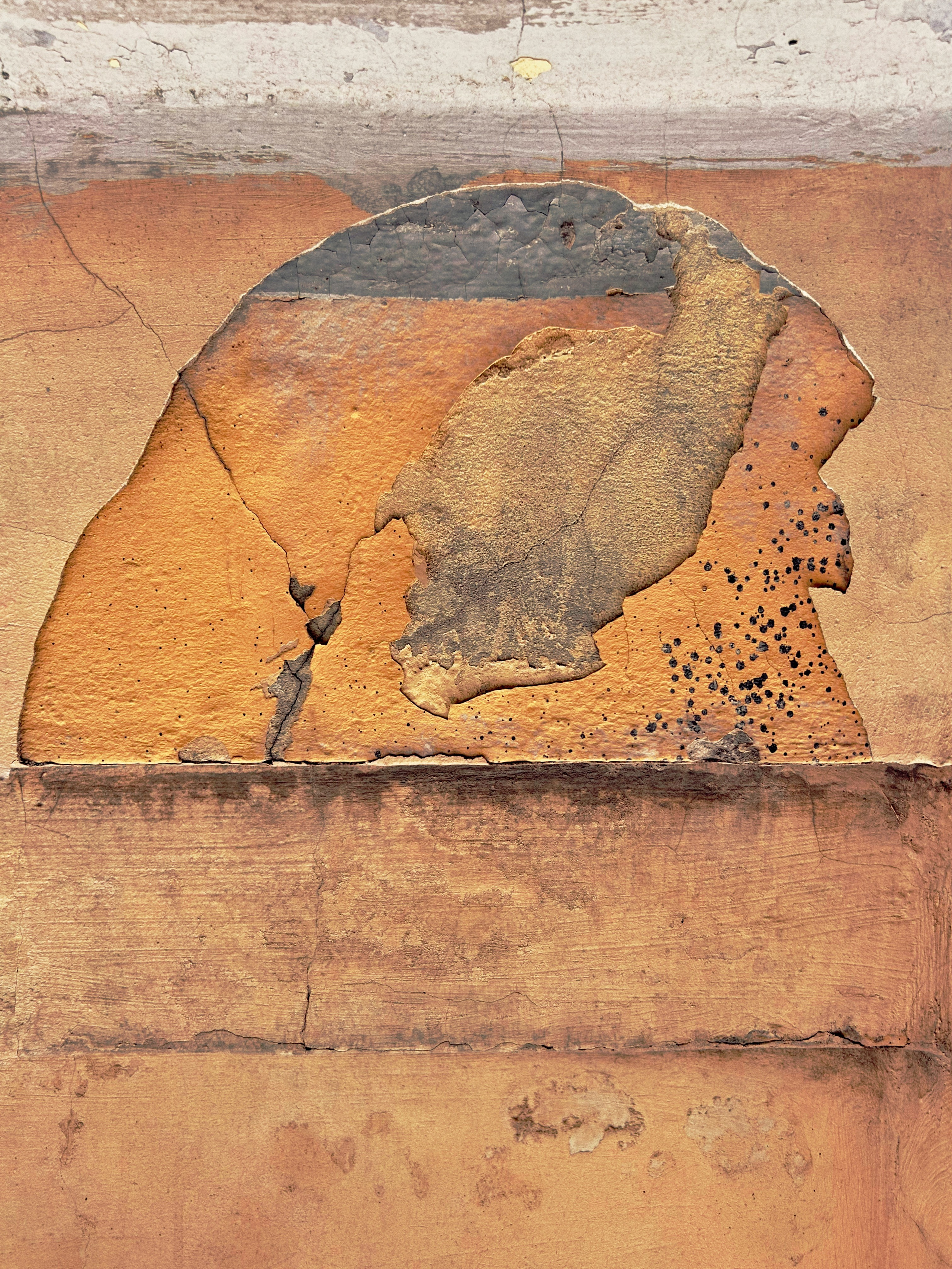 «Вижу». Ольга Пилант. АРТ, бэкстейдж, свадебная и семейная фотография, городской портрет, интерьерная фотография