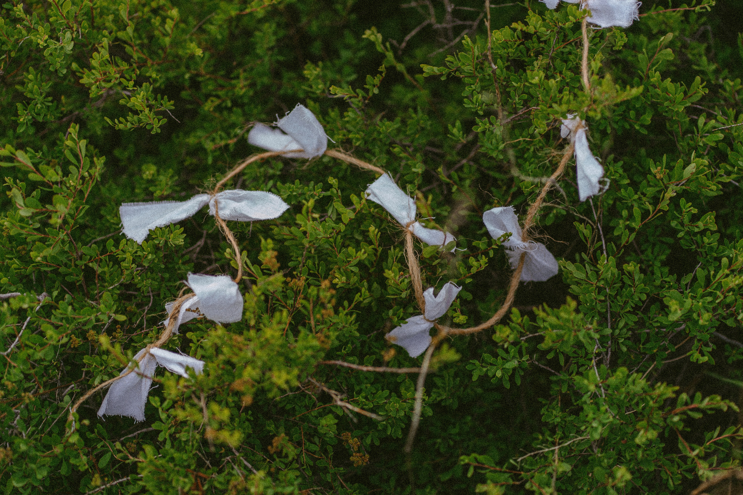 Дорога в облака. Семейный фотограф в Калининграде Елена Глазунова