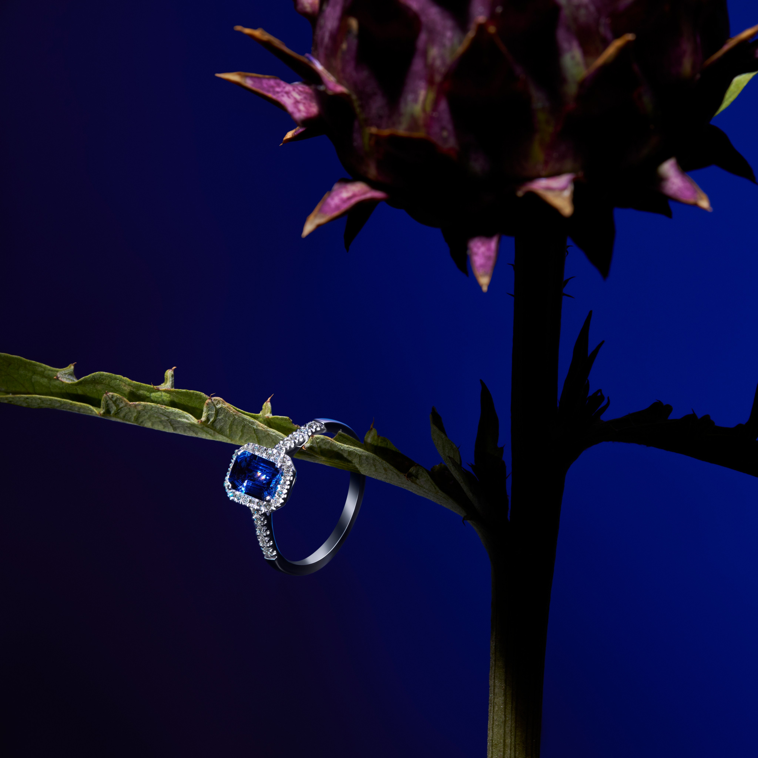 Jewelry. Retouching service