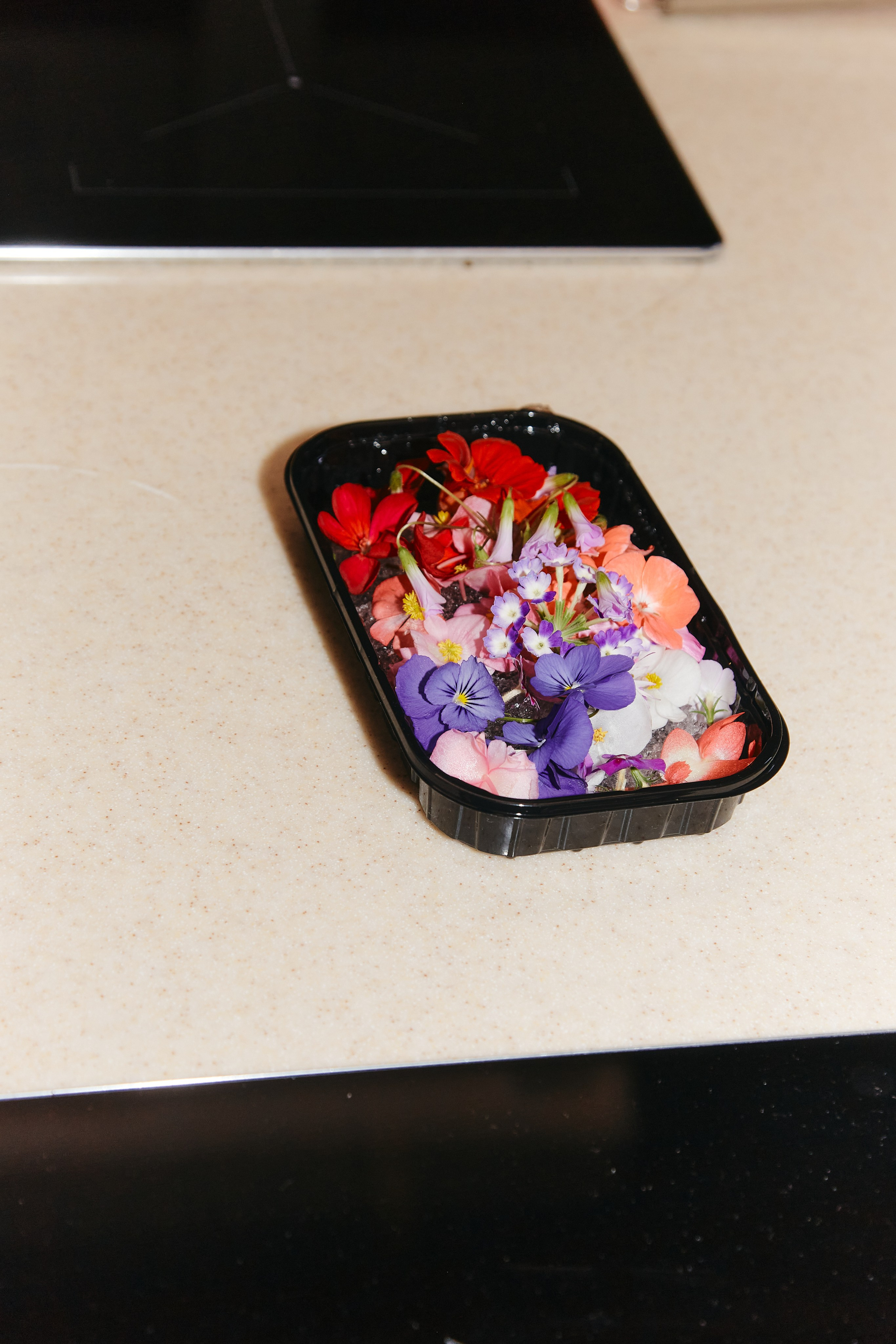 POST MERIDIEM BRAND PARTY. Photographer Daria Ilkevich