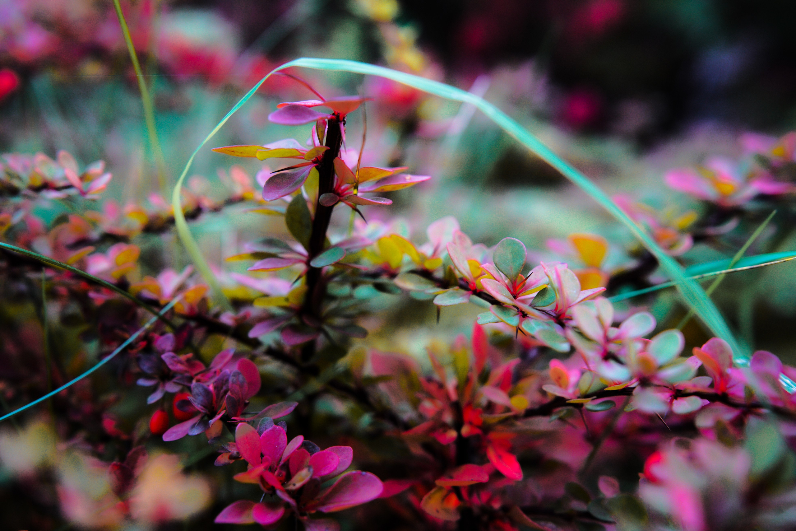 Осень 2025. Фотограф из Москвы — DASHA NOVA | Авторская фотография в разных жанрах