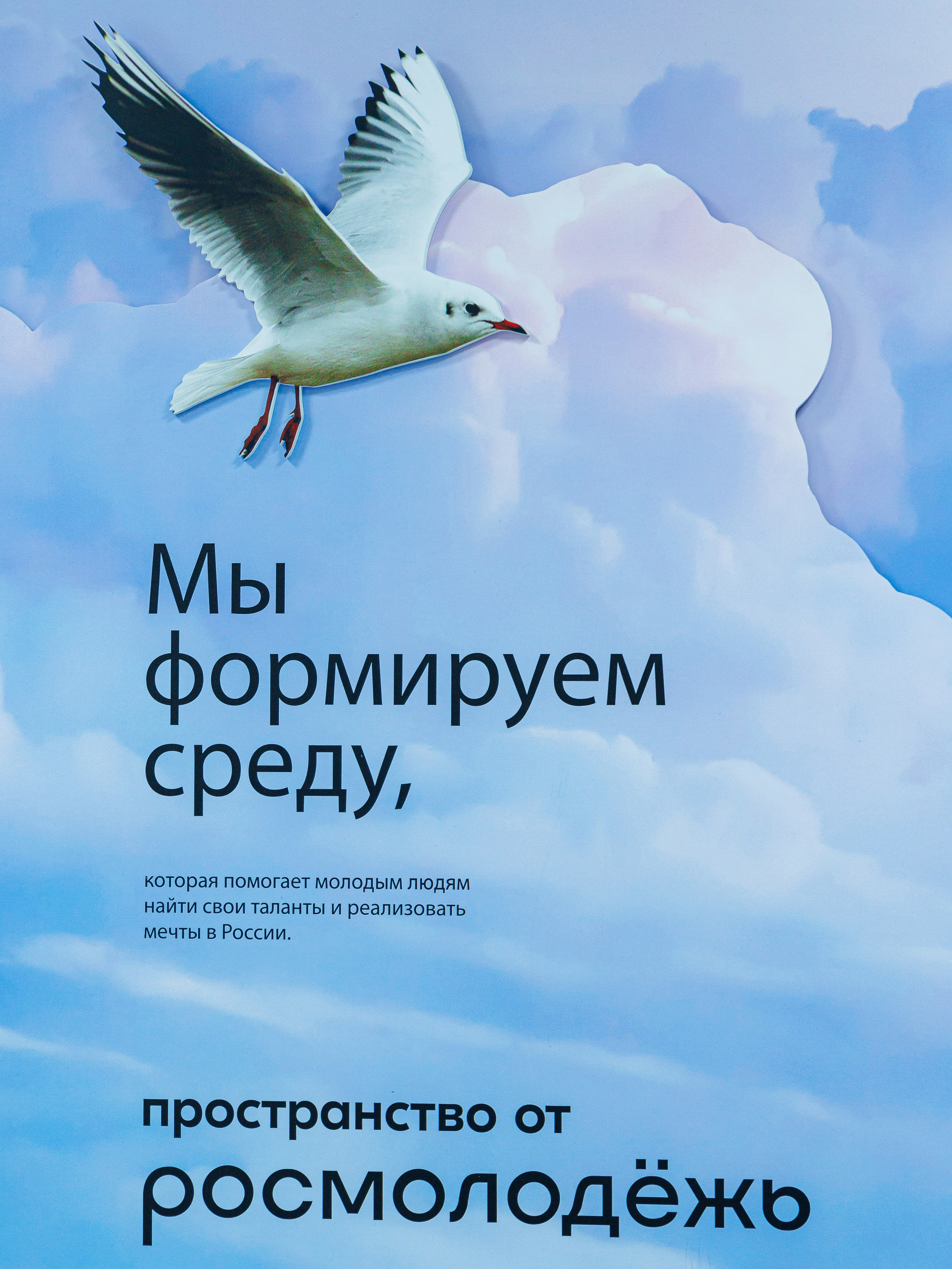 Открытие ЦМИ. Инга Кузьминская ТОП-фотограф г. Корсаков