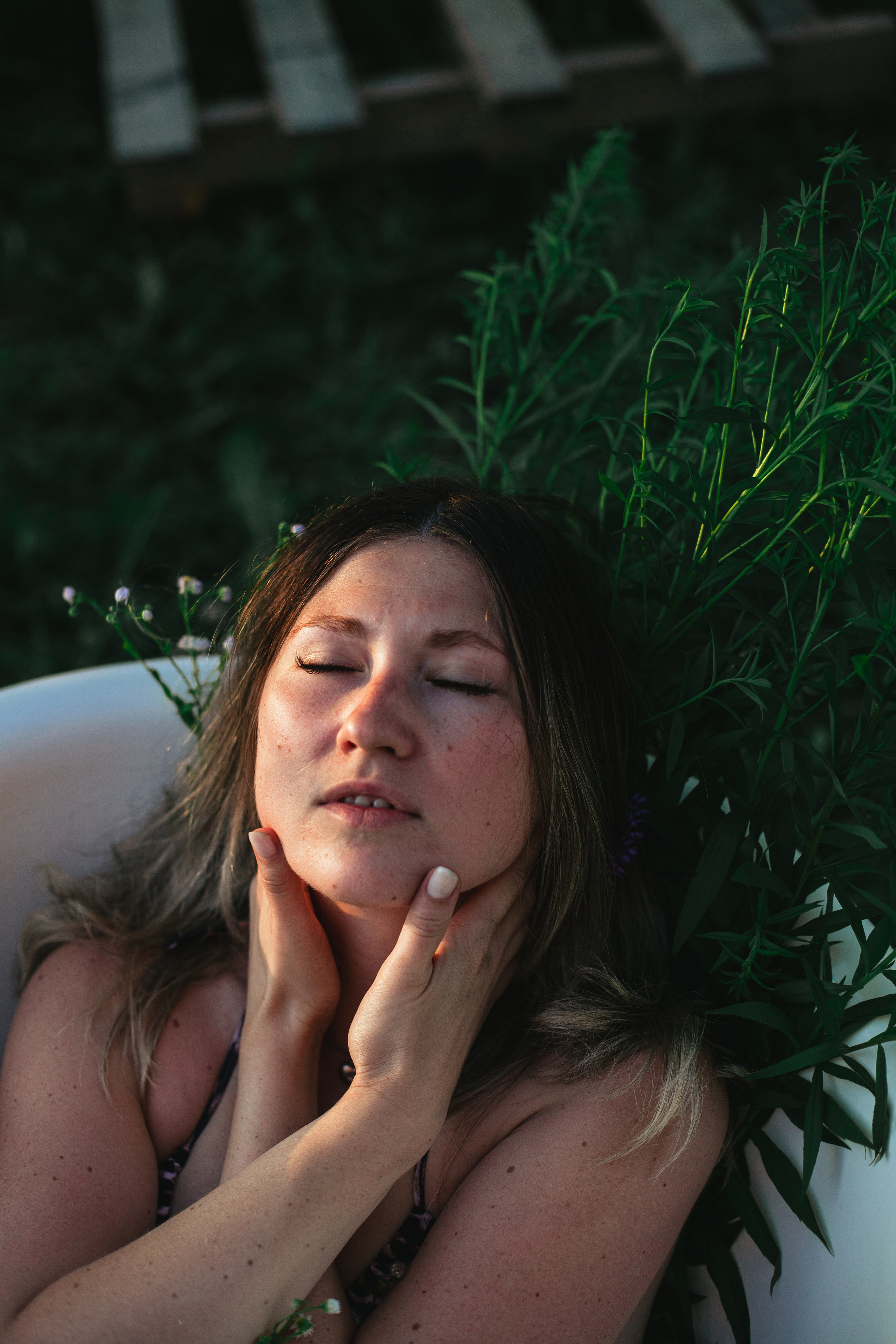 Ванна в поле. Фотограф-анималист Татьяна Степанова