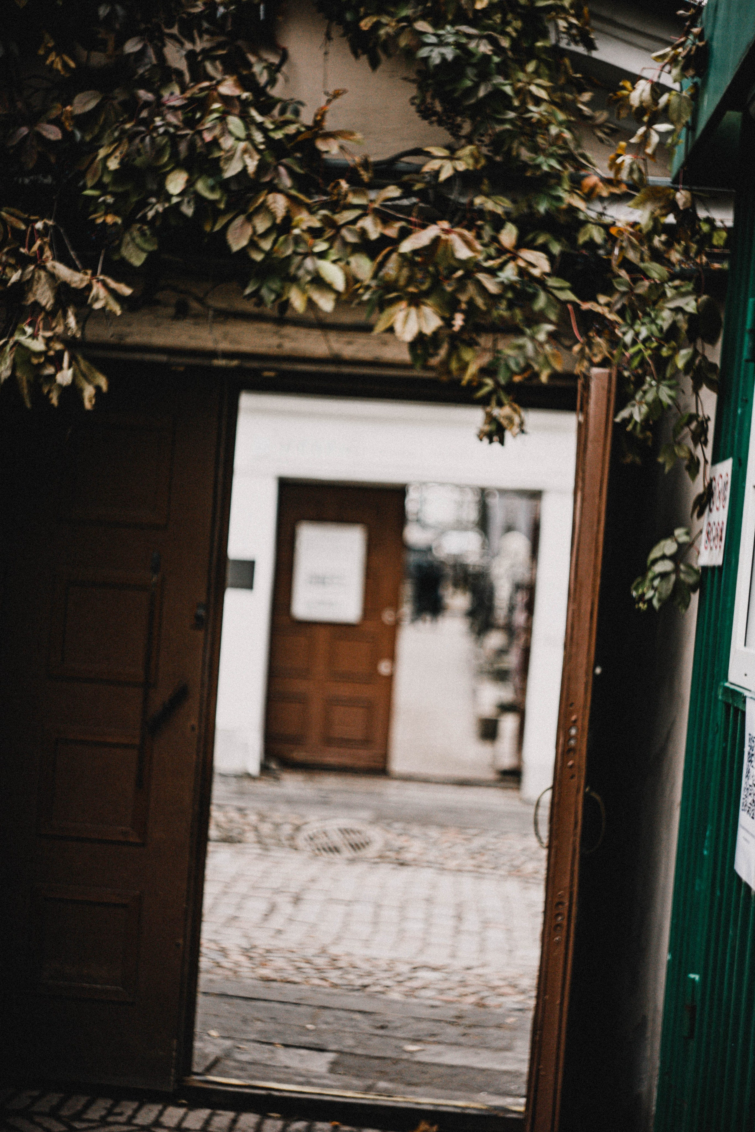 Питер / 24. Фотограф в Нижнем Новгороде