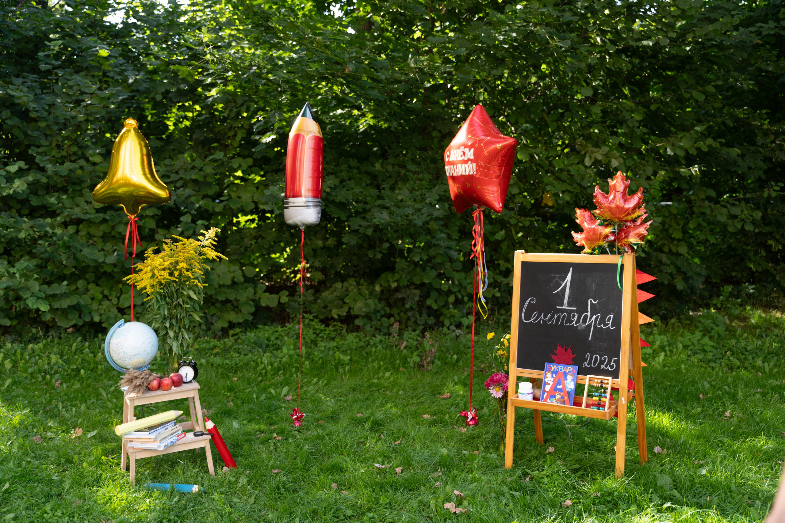 Здравствуй, школа!. Фотограф Юлия Попова