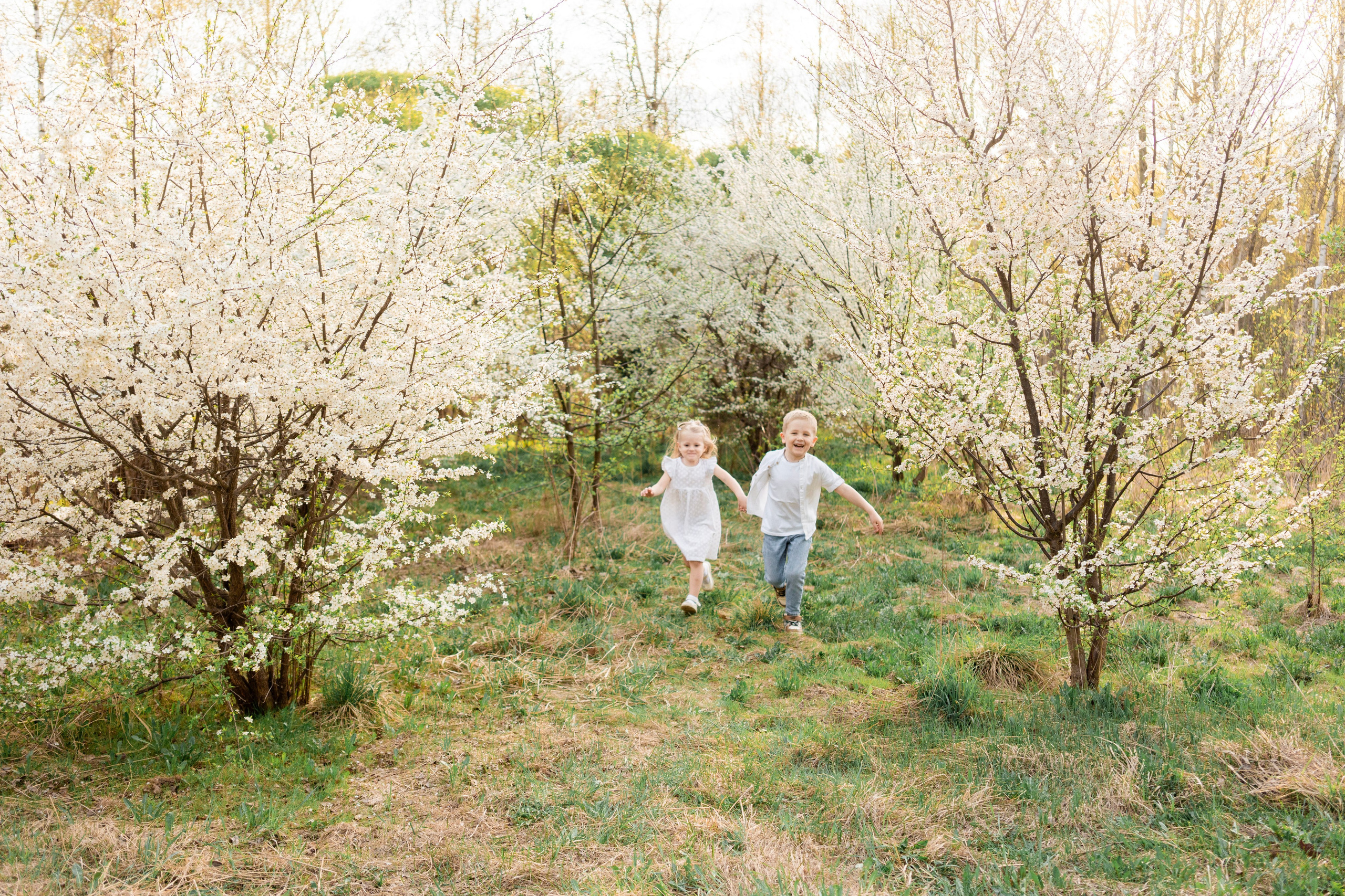 Цветение. Фотограф Юлия Попова